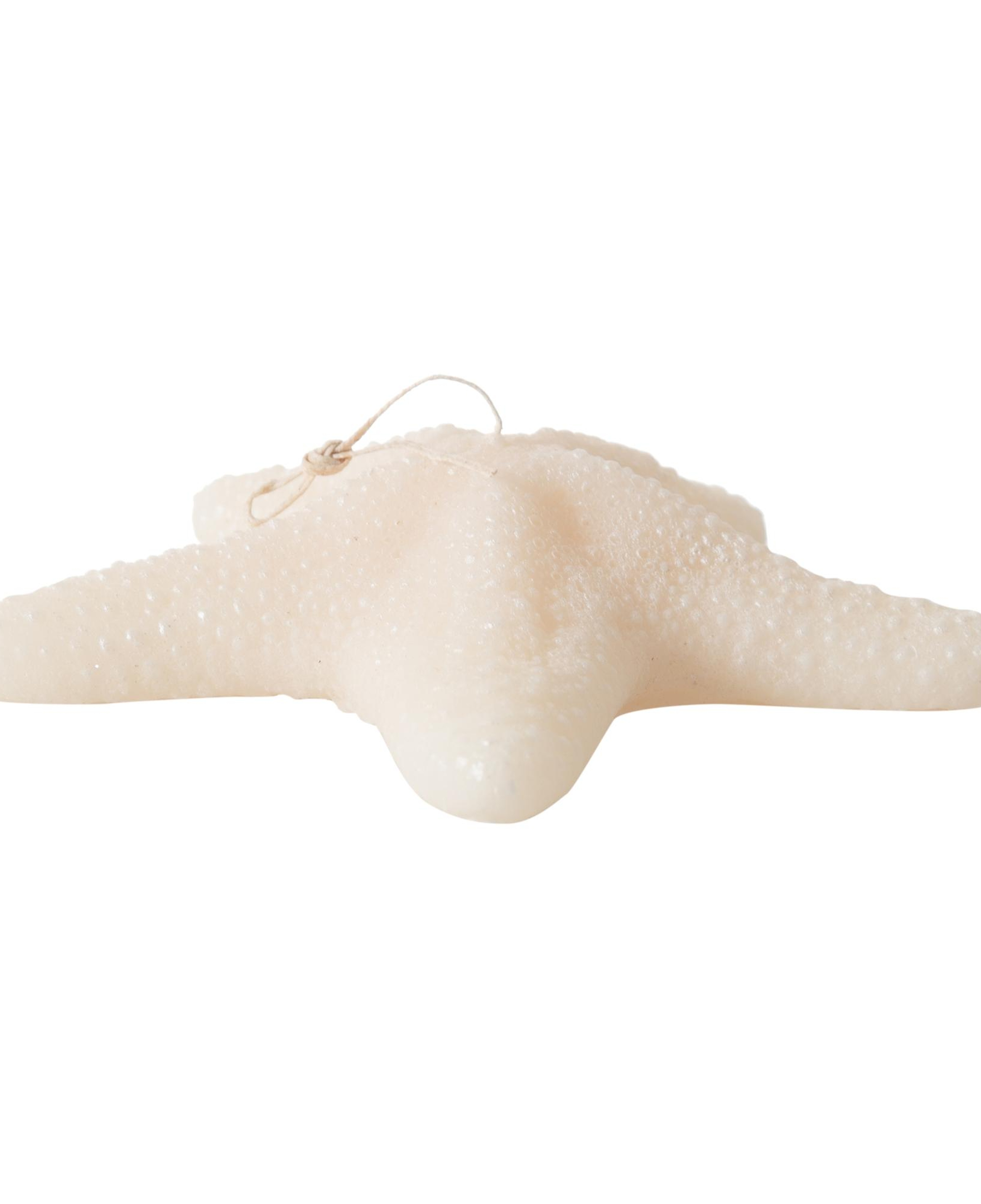 DENİZ YILDIZI MUM 21X5CM