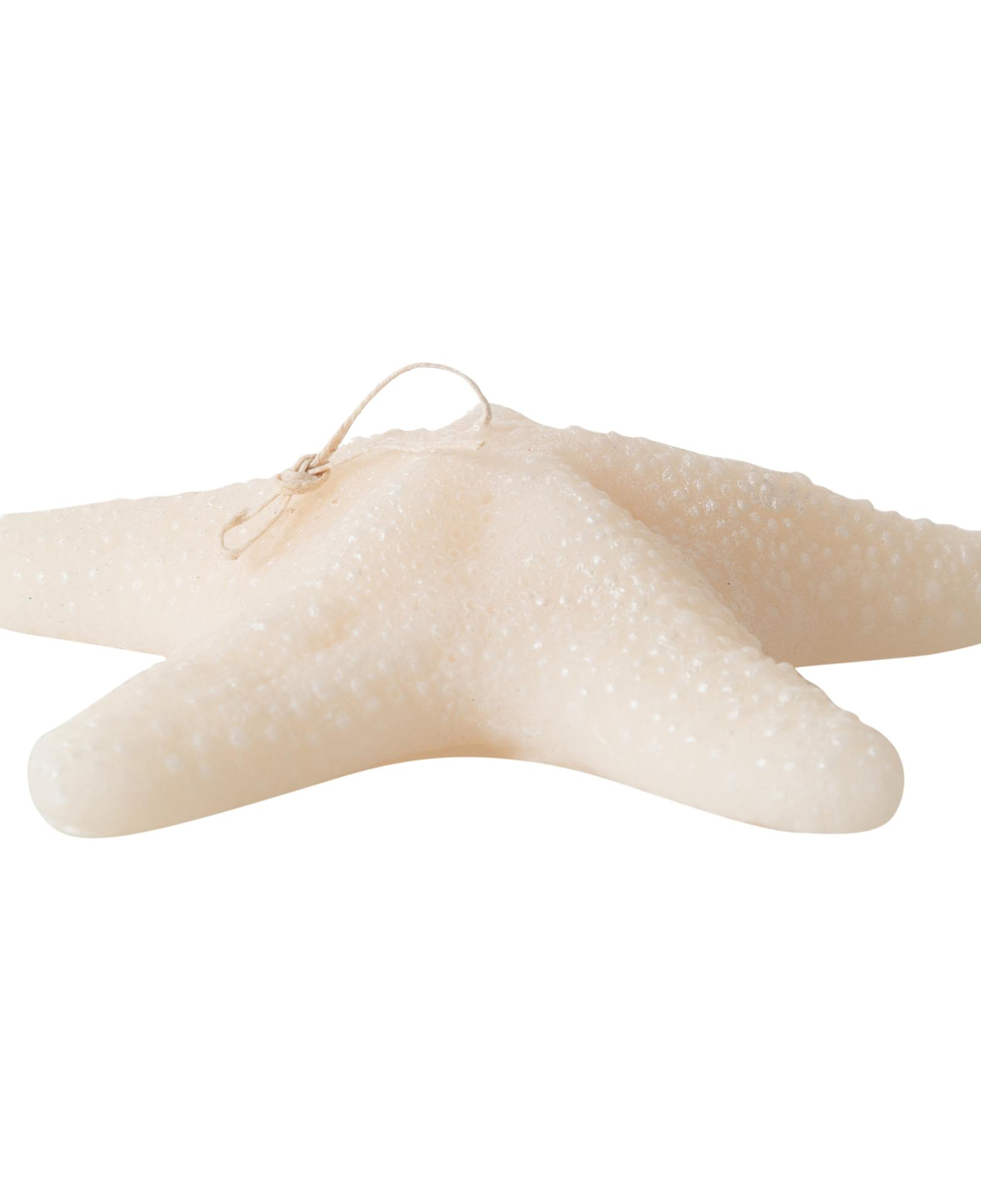 DENİZ YILDIZI MUM 21X5CM