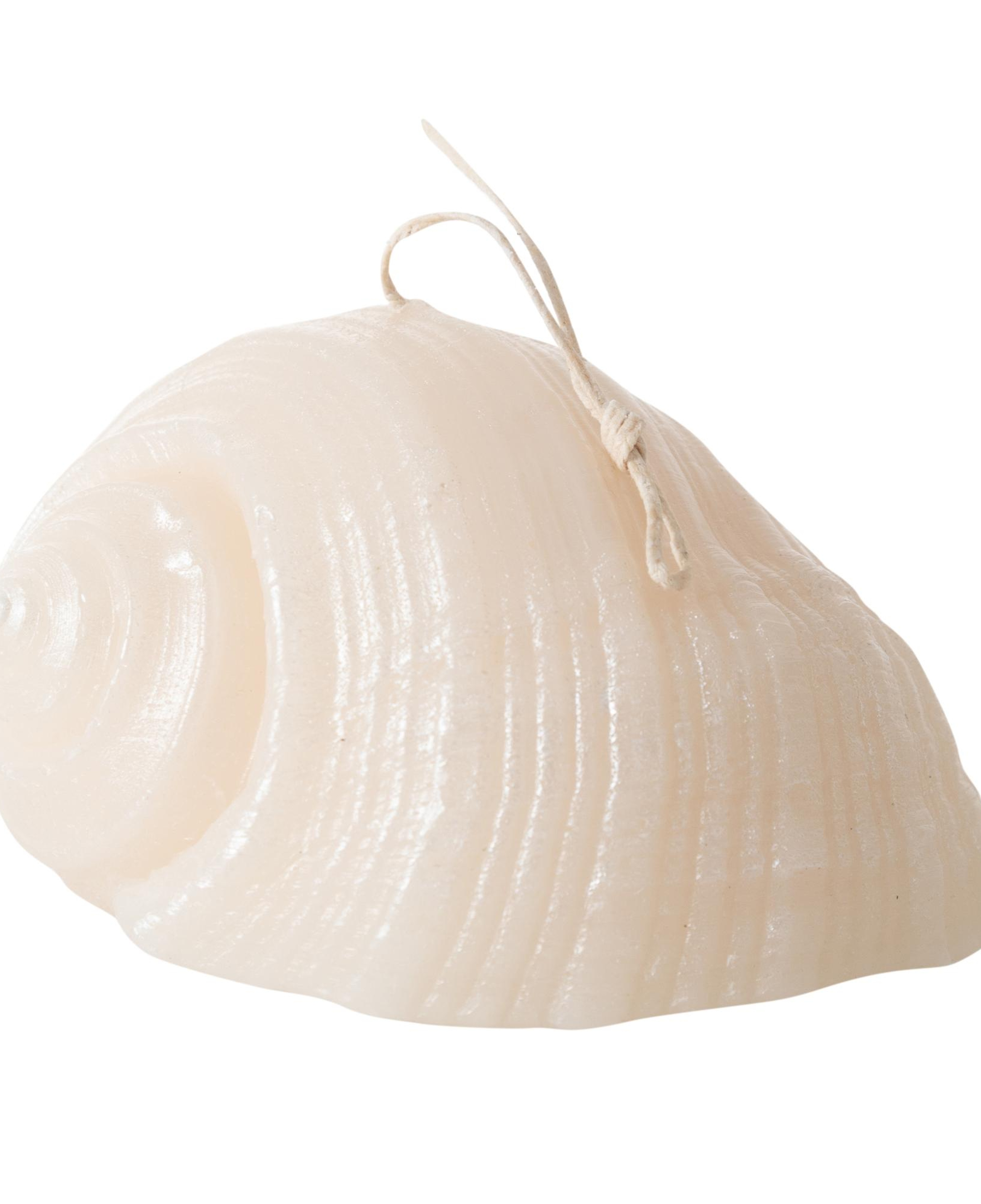 DENİZ KABUĞU MUM 11X9CM