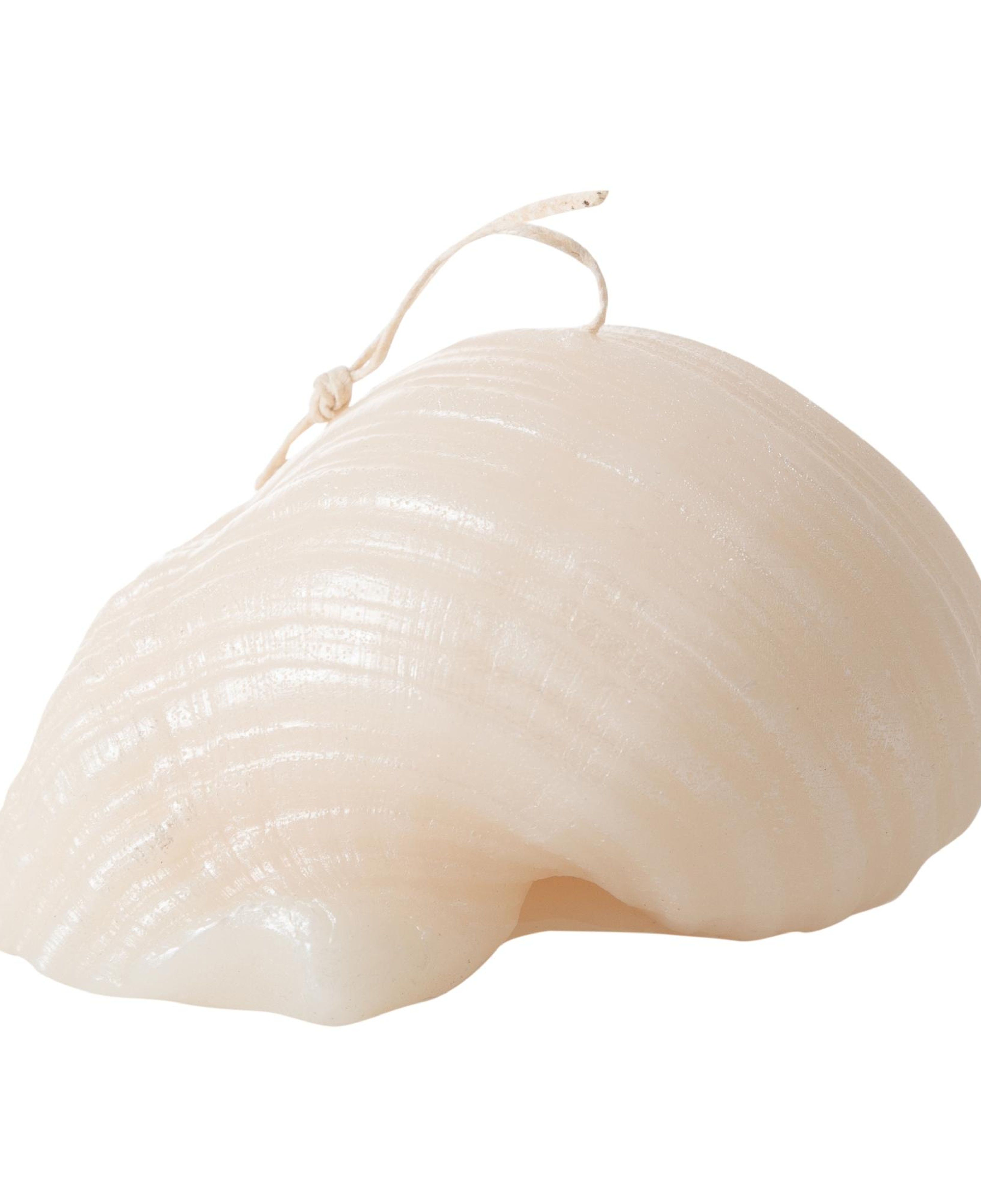 DENİZ KABUĞU MUM 11X9CM