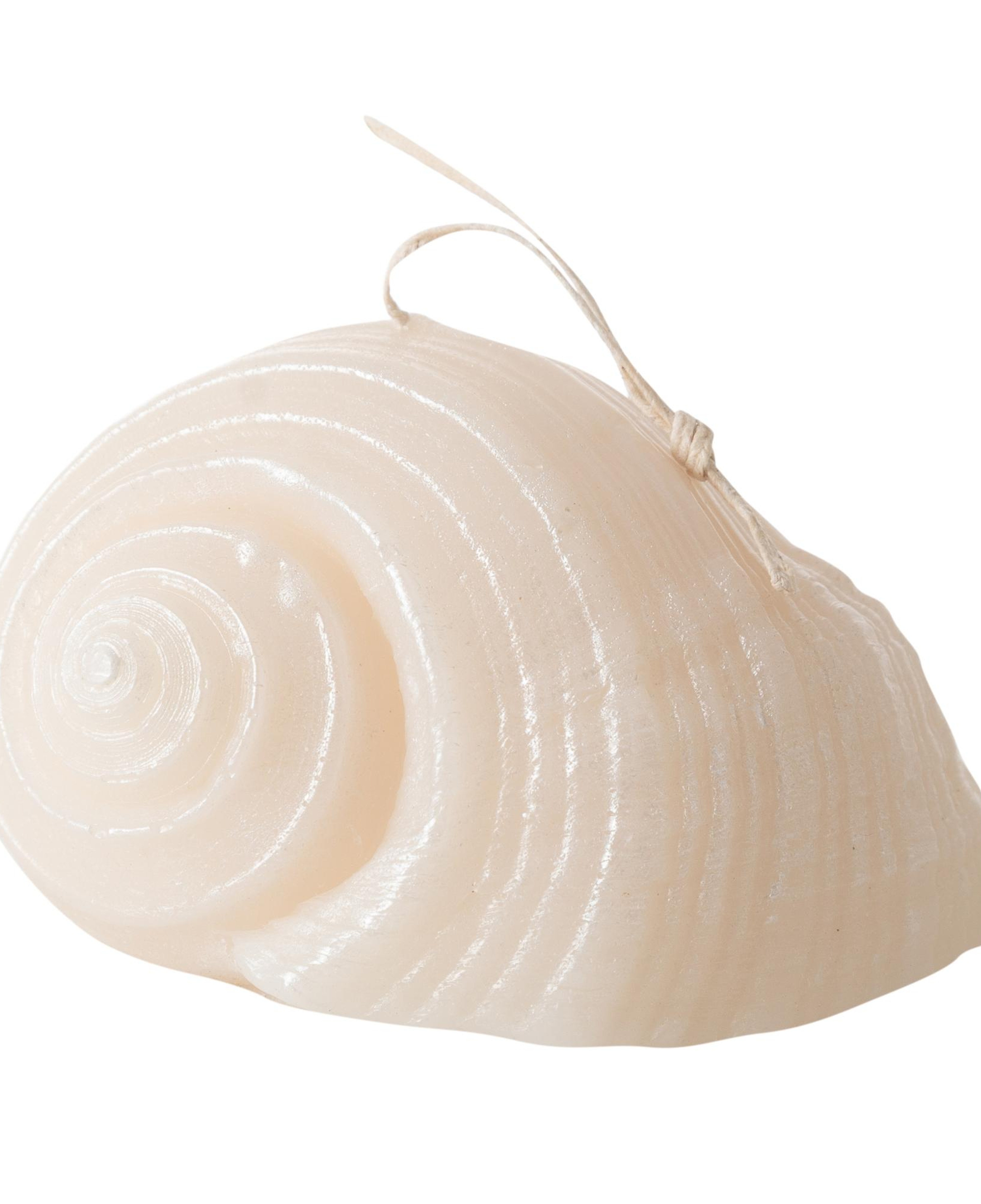 DENİZ KABUĞU MUM 11X9CM