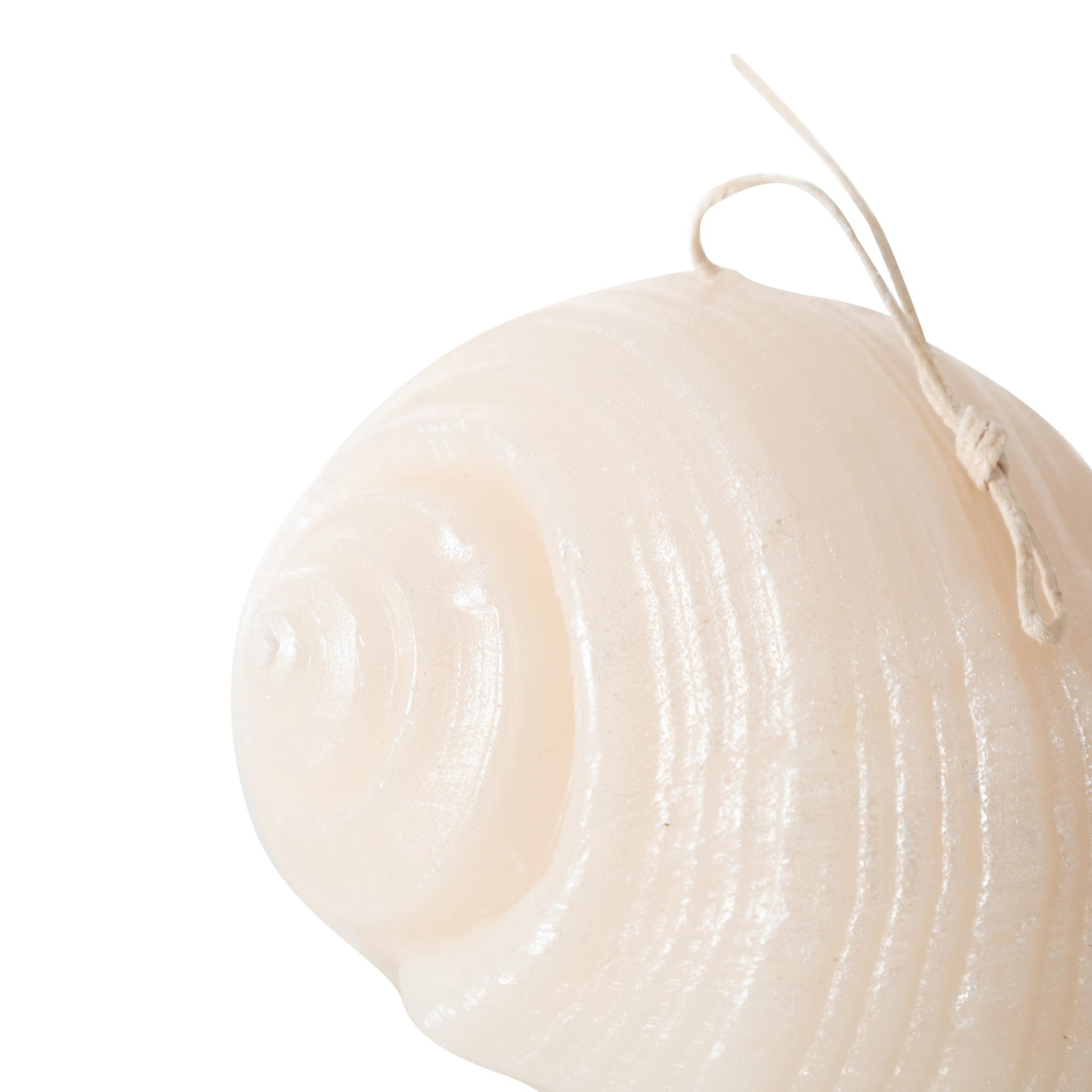 DENİZ KABUĞU MUM 11X9CM