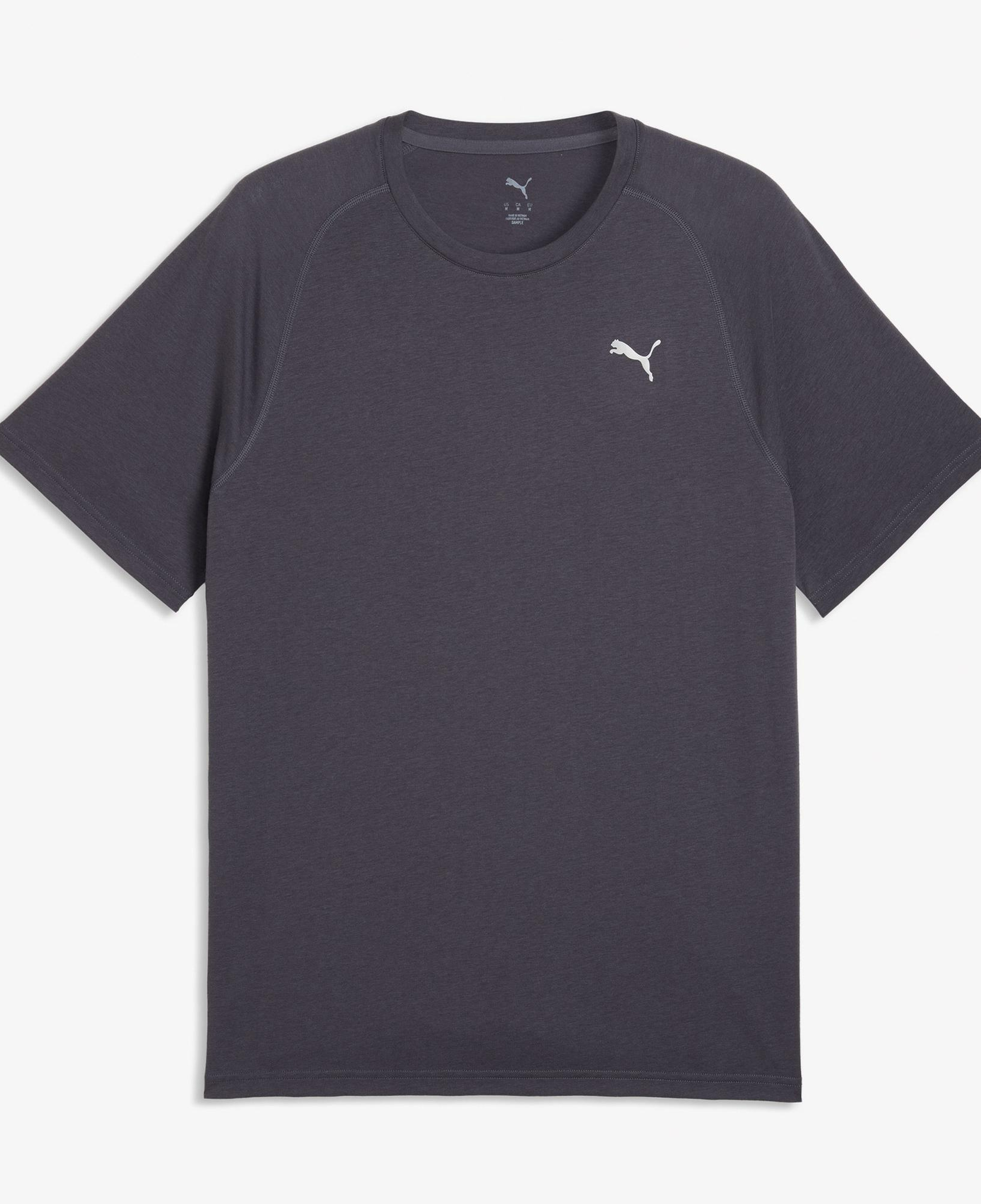 Puma Pwrtrain Triblend Erkek Gri Antrenman T-Shirt
