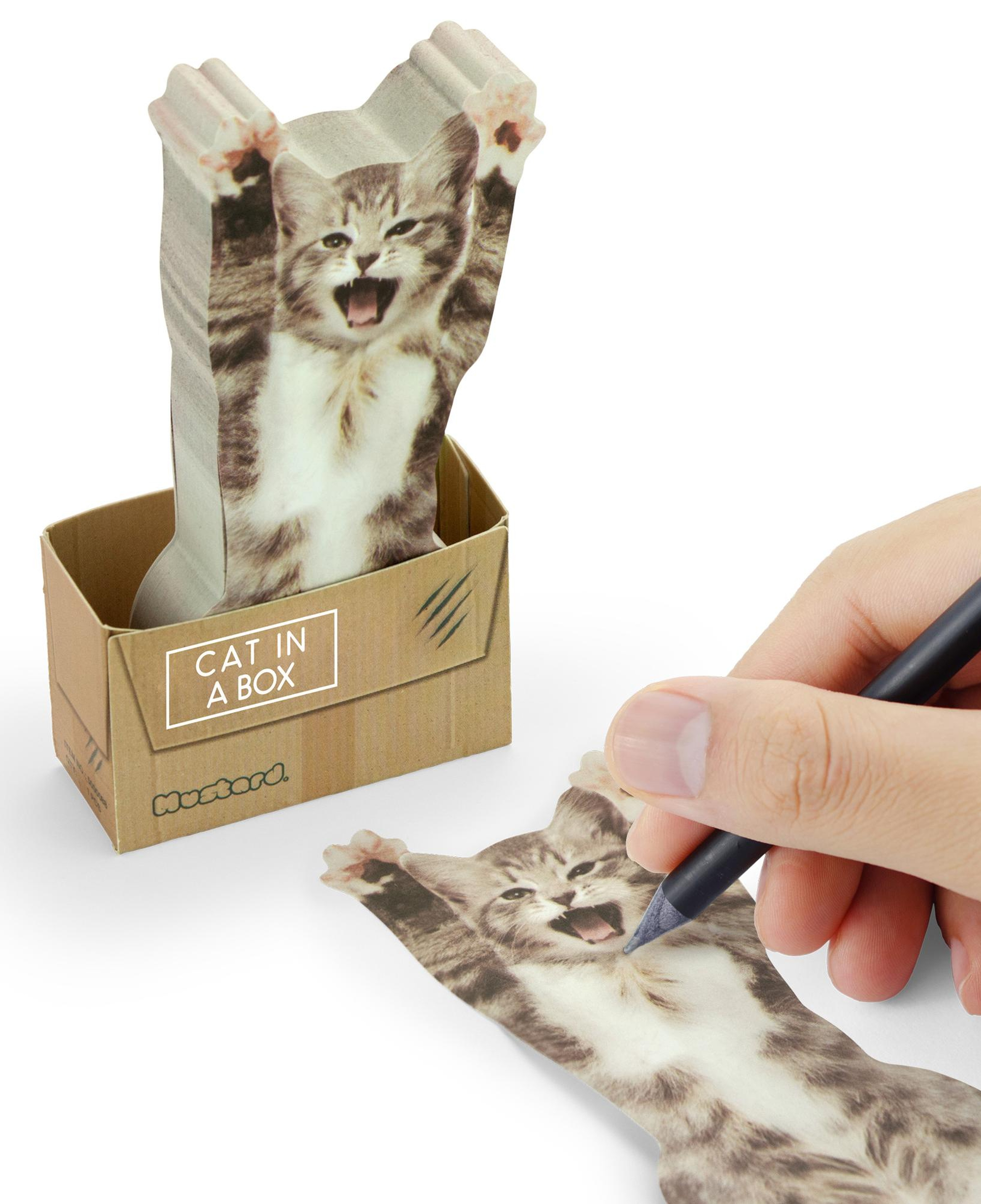 Mustard Cat in a Box