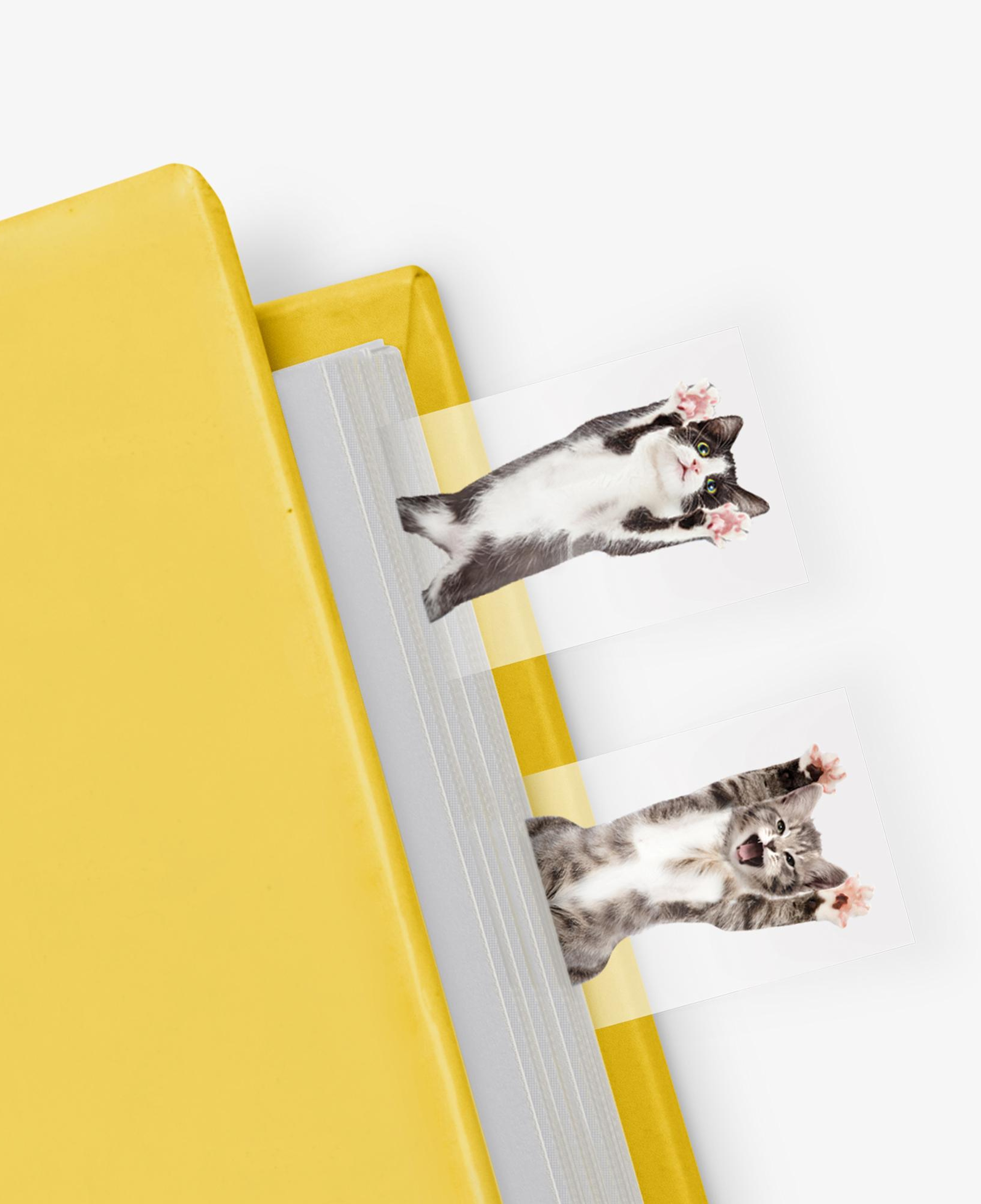 Mustard Cat in a Book