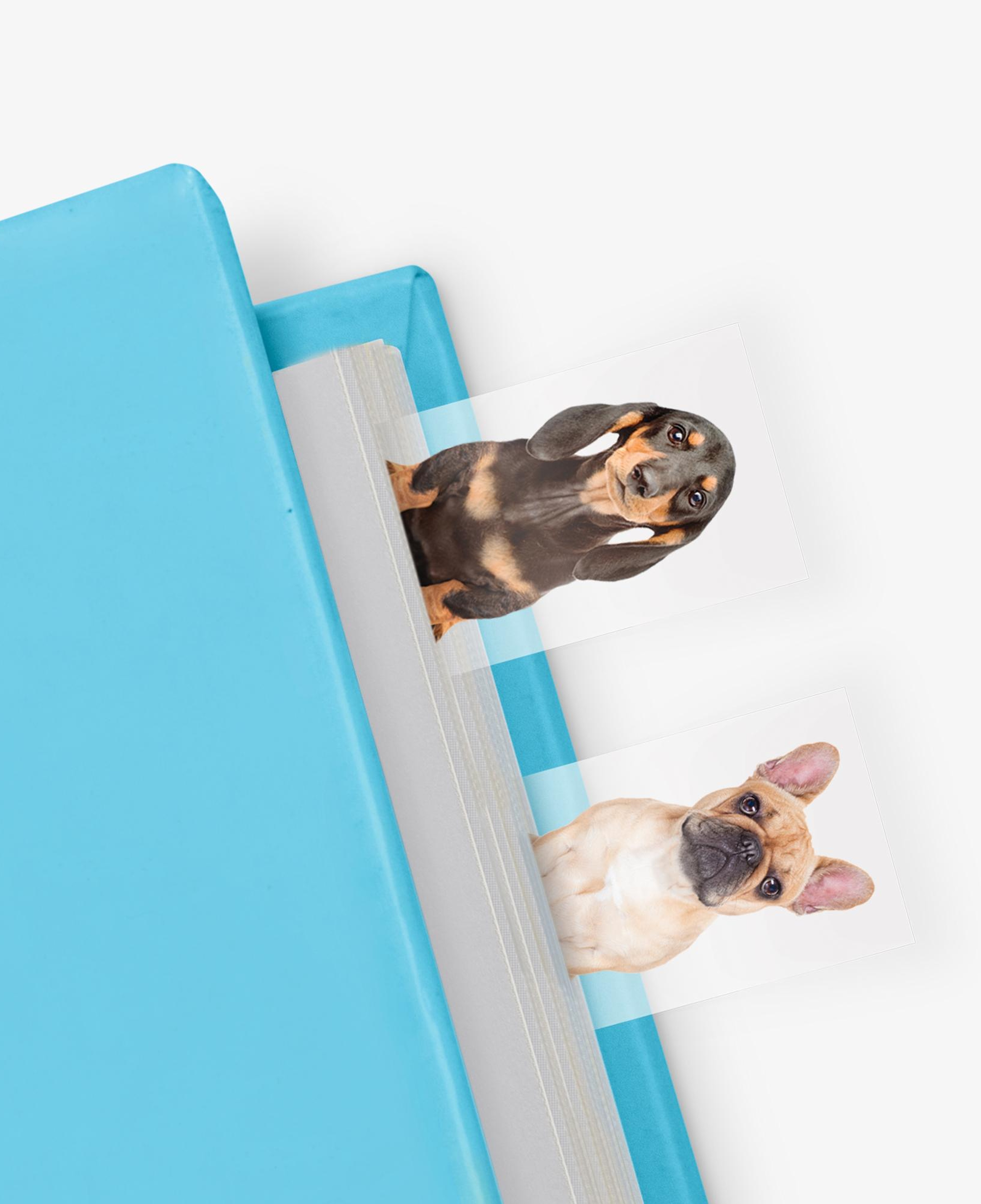 Mustard Dog in a Book