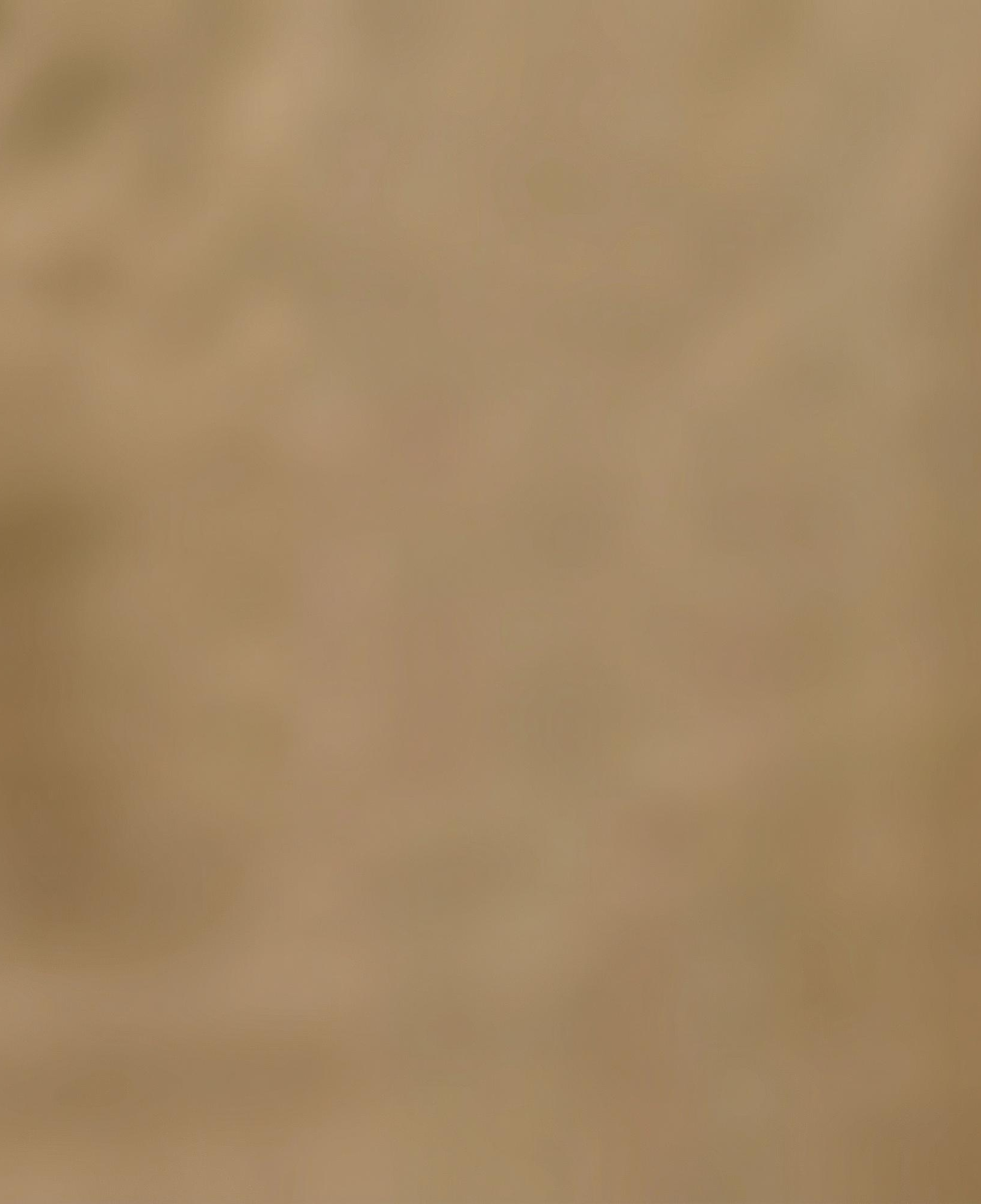 Nautica Erkek Gri Slim Fit Pantolon