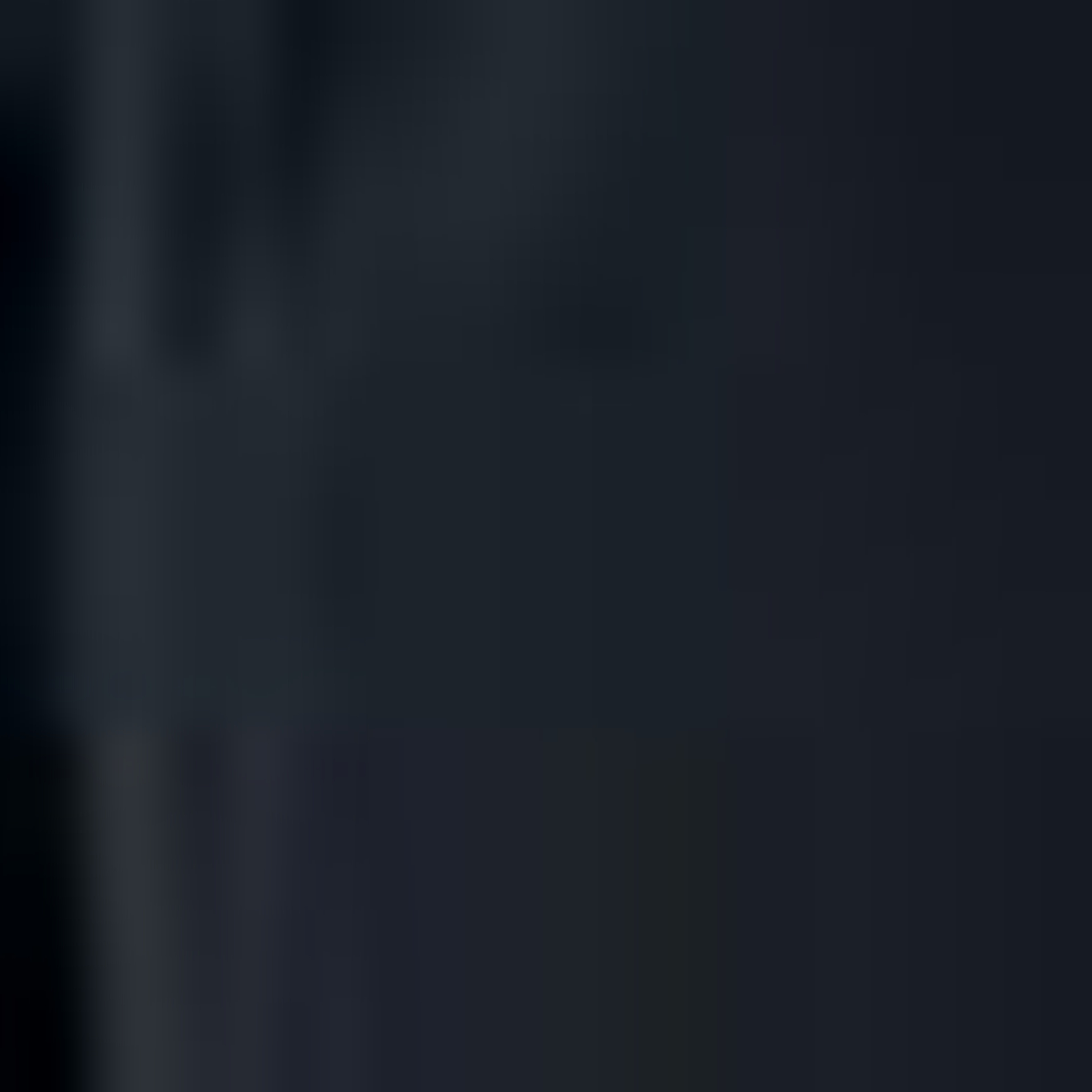 Nautica Erkek Siyah Regular Fit Mont