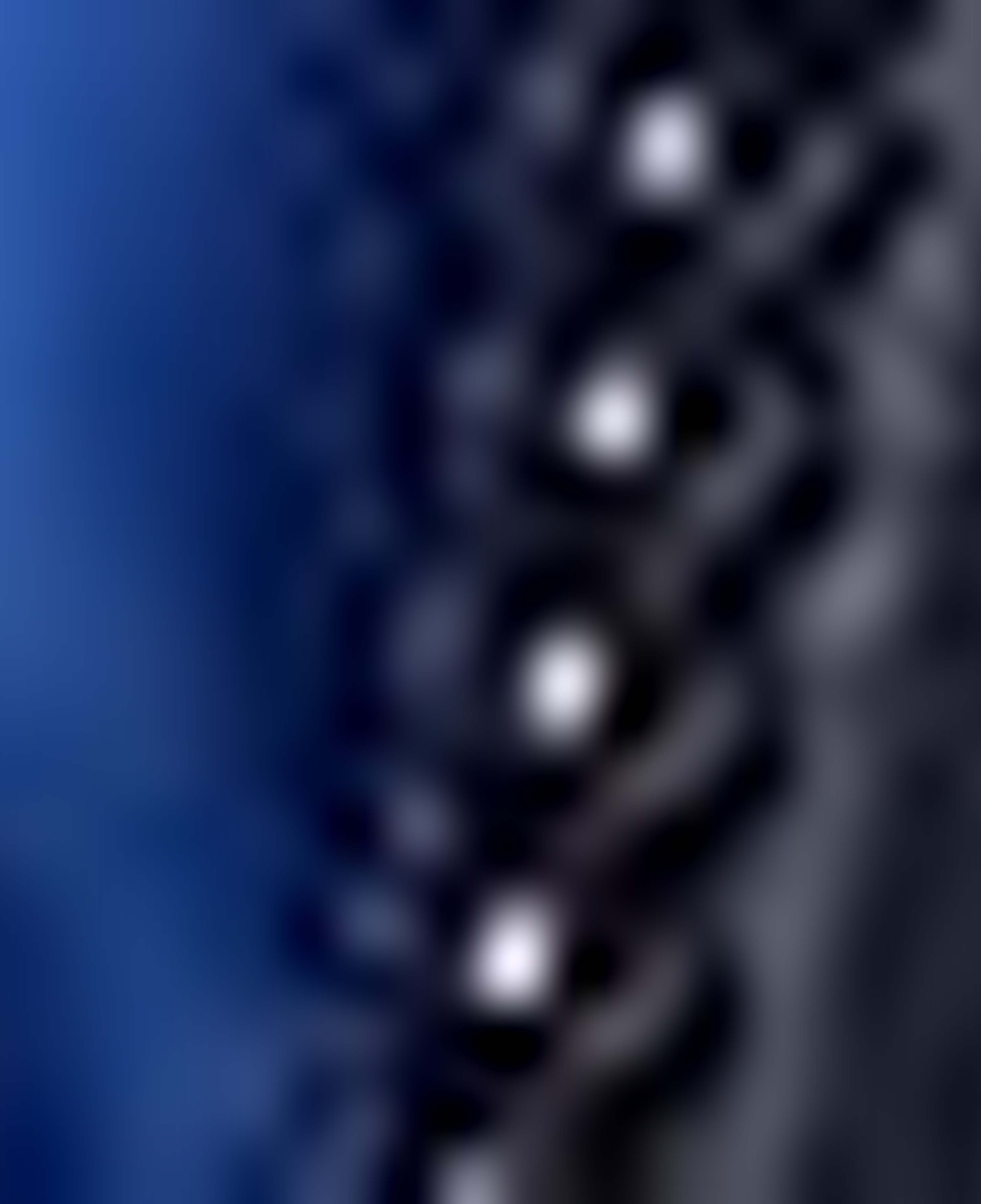 Nautica Erkek Lacivert Regular Fit Çift Taraflı Mont