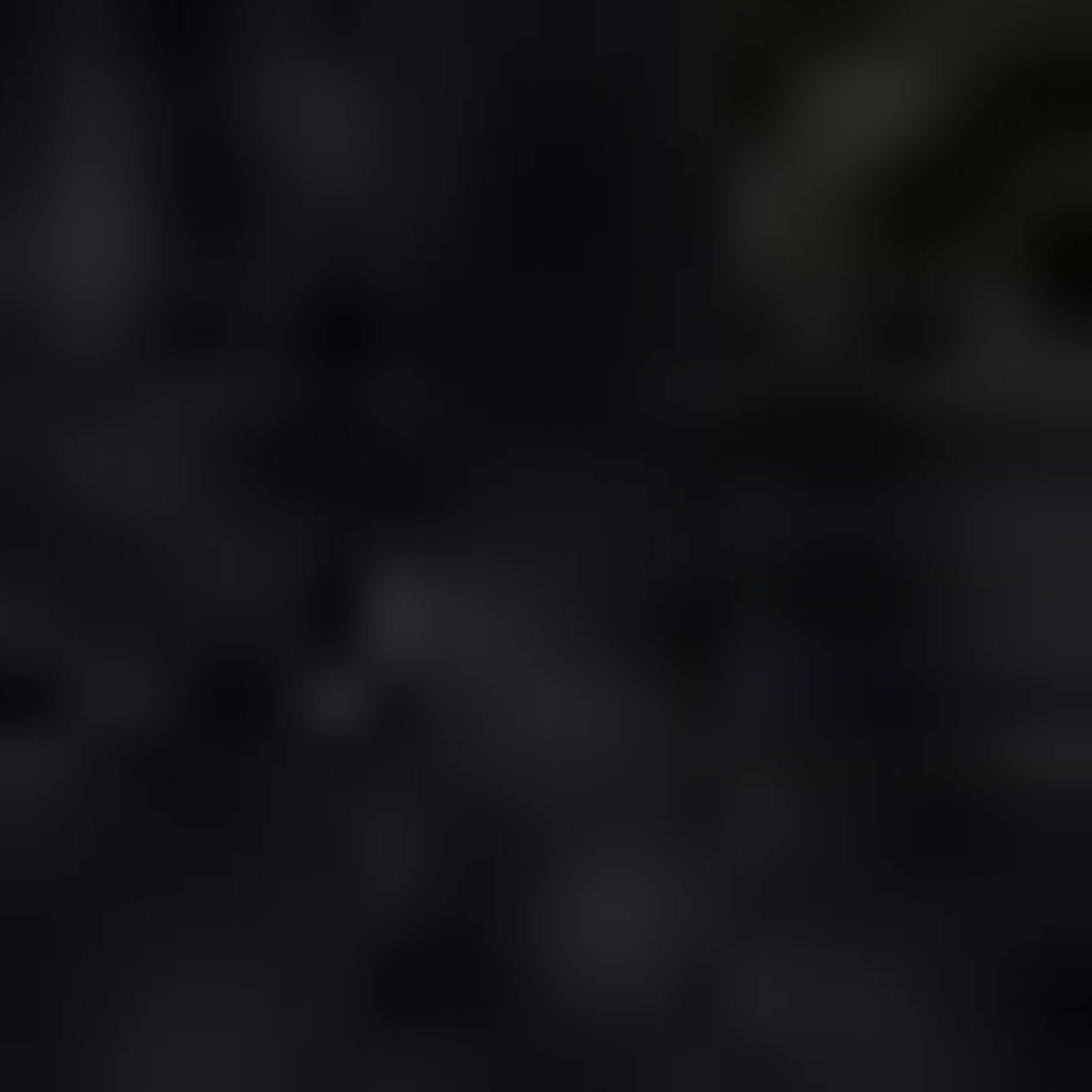 Nautica Erkek Siyah Regular Fit Mont