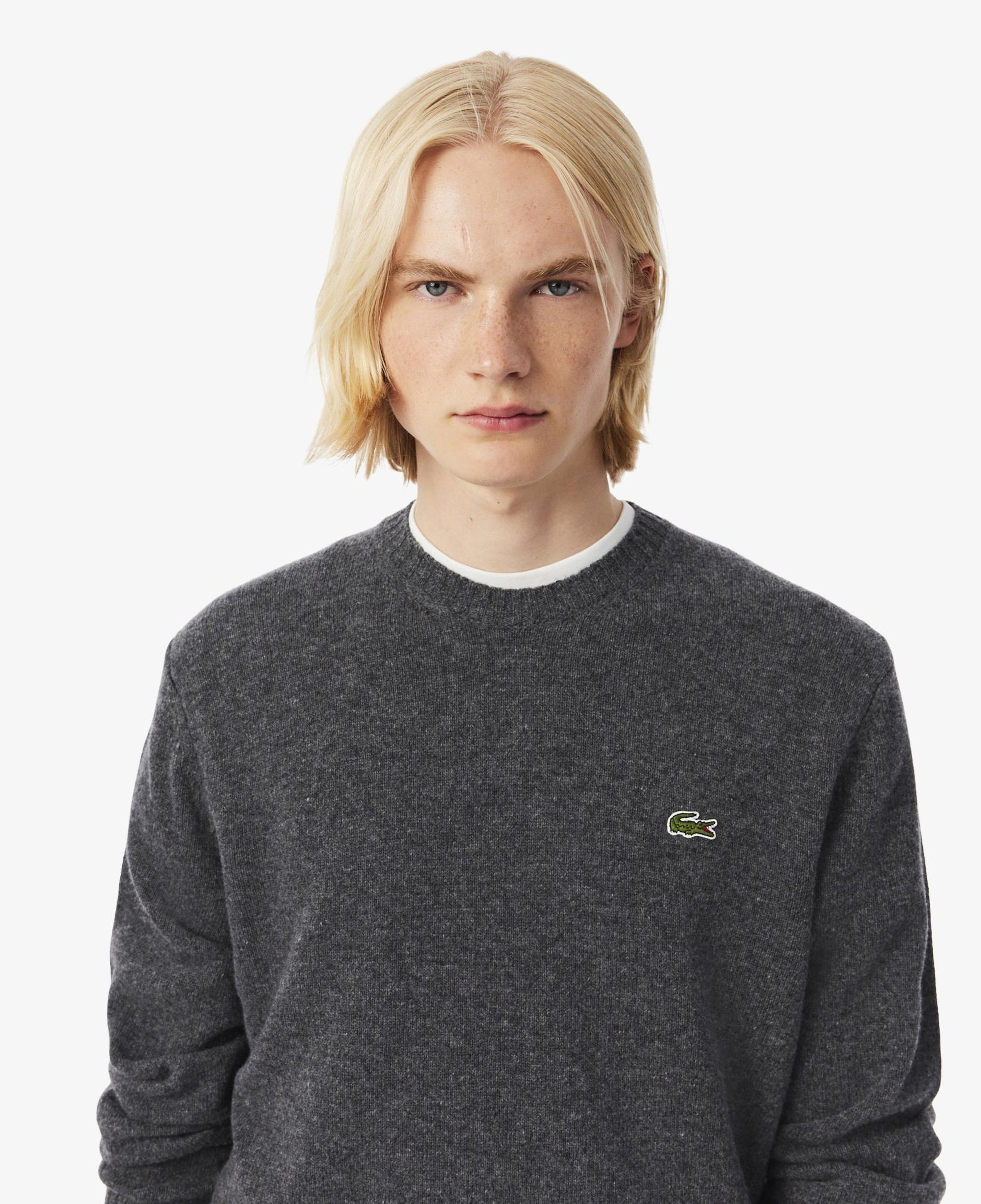 Lacoste Erkek Classic Fit Bisiklet Yaka Gri Kazak