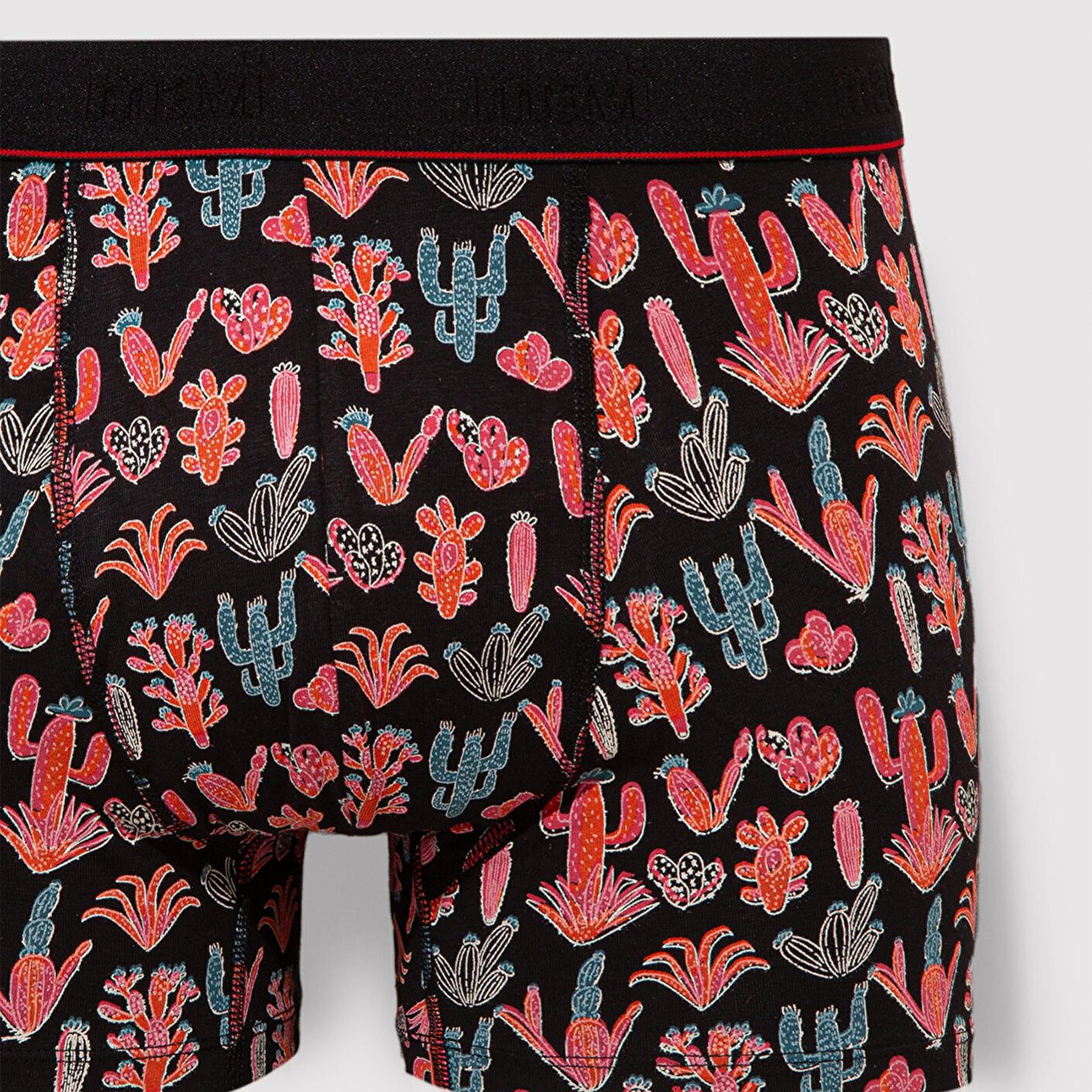 Mavi Kaktüs Baskılı Siyah Boxer 091122-900