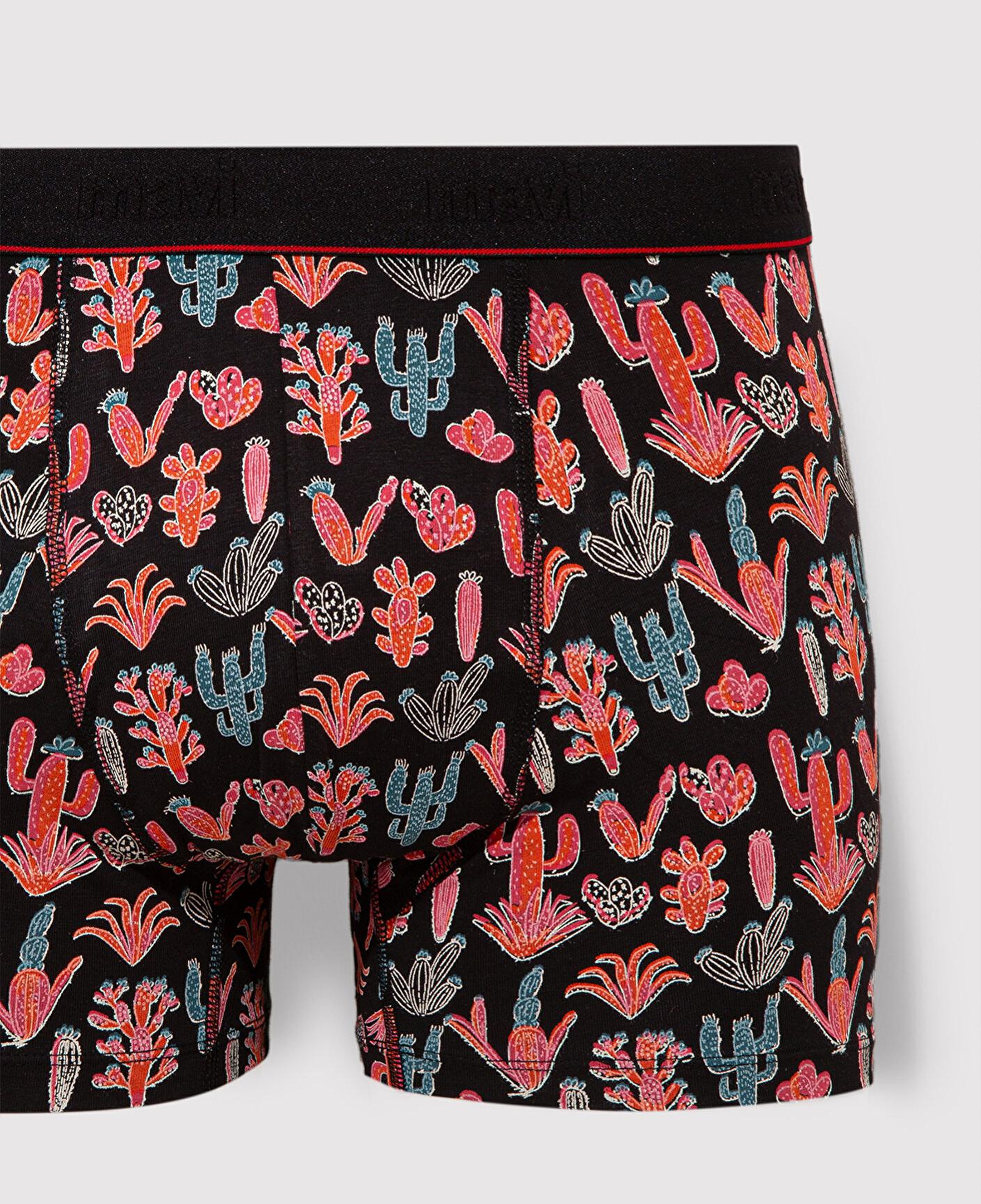 Mavi Kaktüs Baskılı Siyah Boxer 091122-900