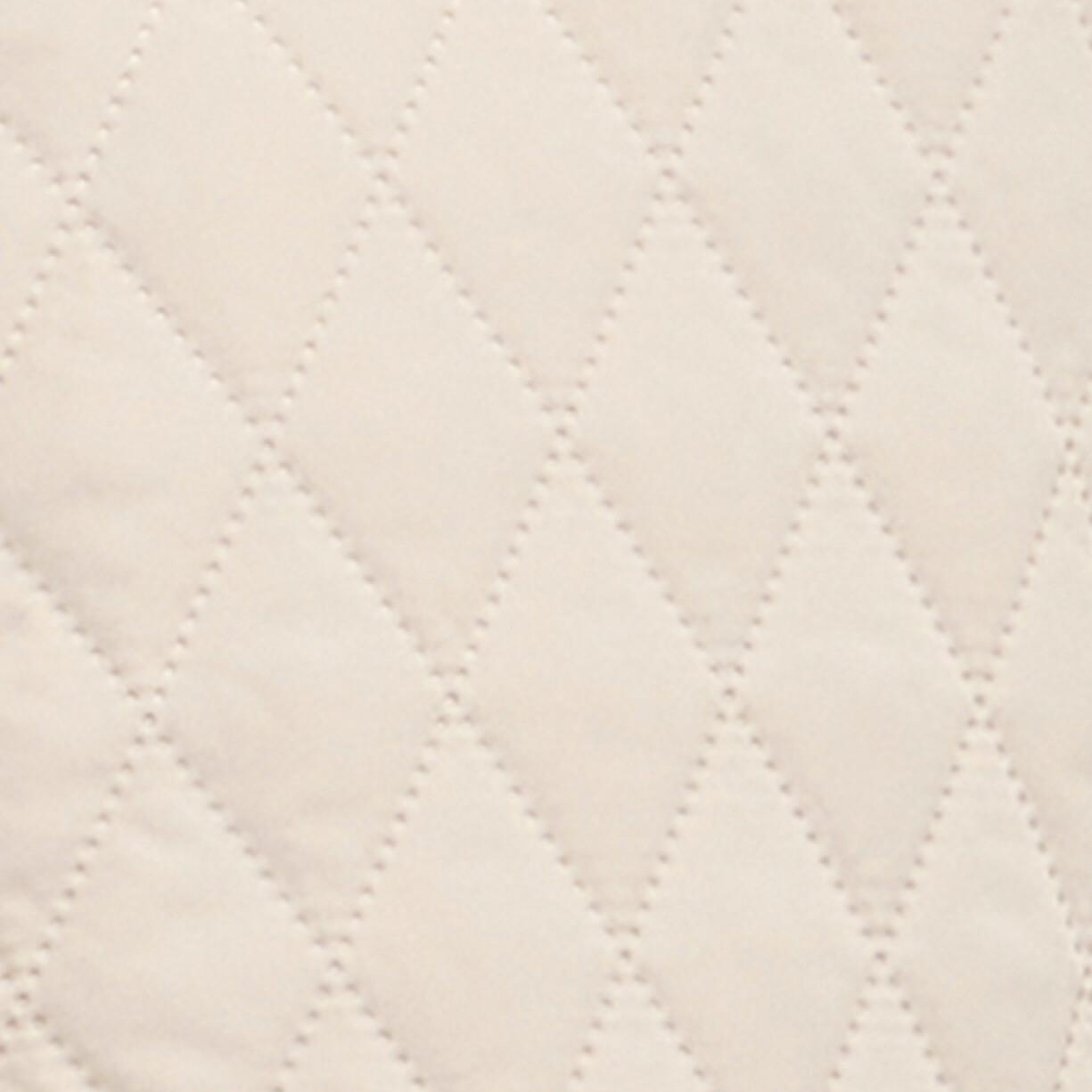 Barbour Goldmire Kapitone Ceket