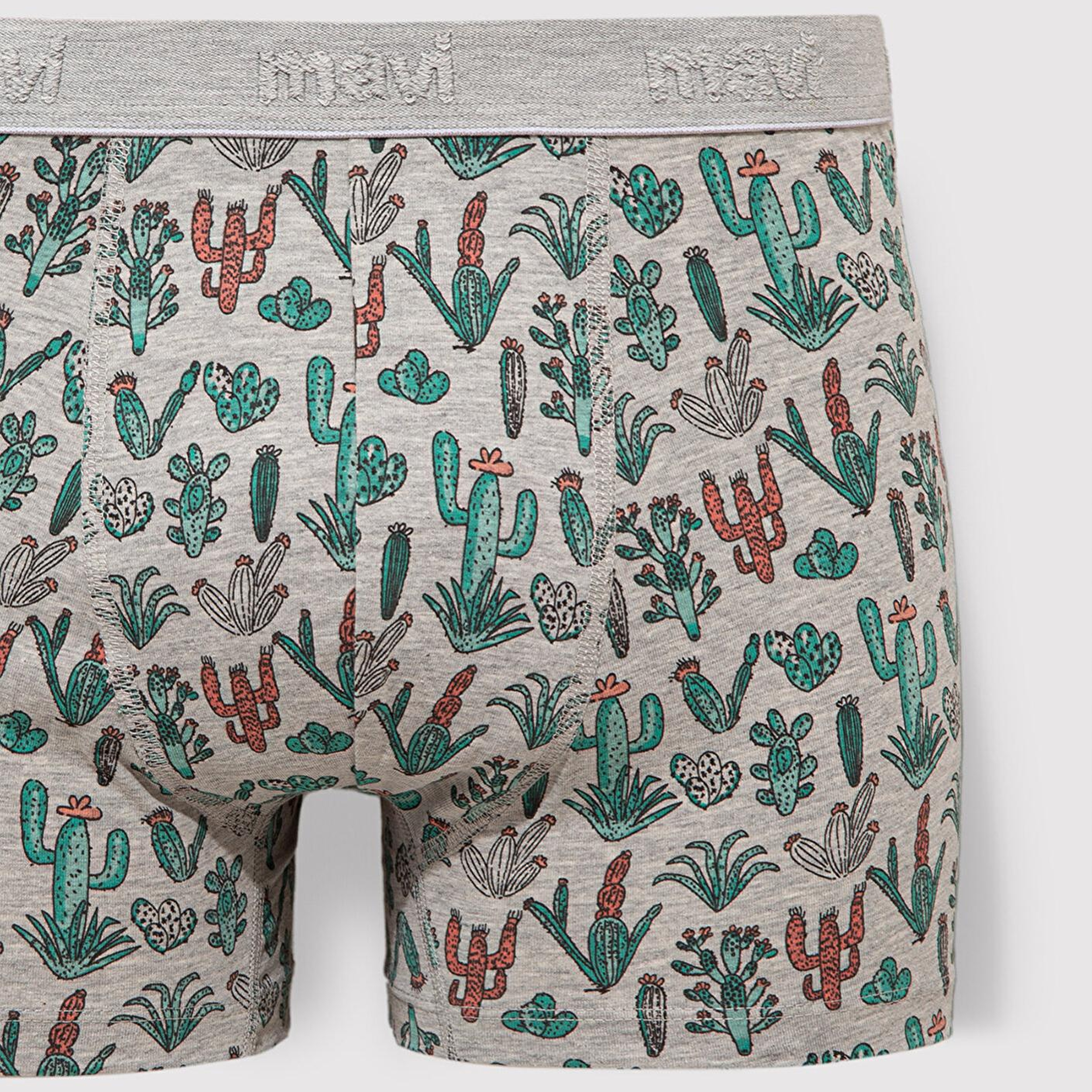 Mavi Kaktüs Baskılı Gri Boxer 091122-23854