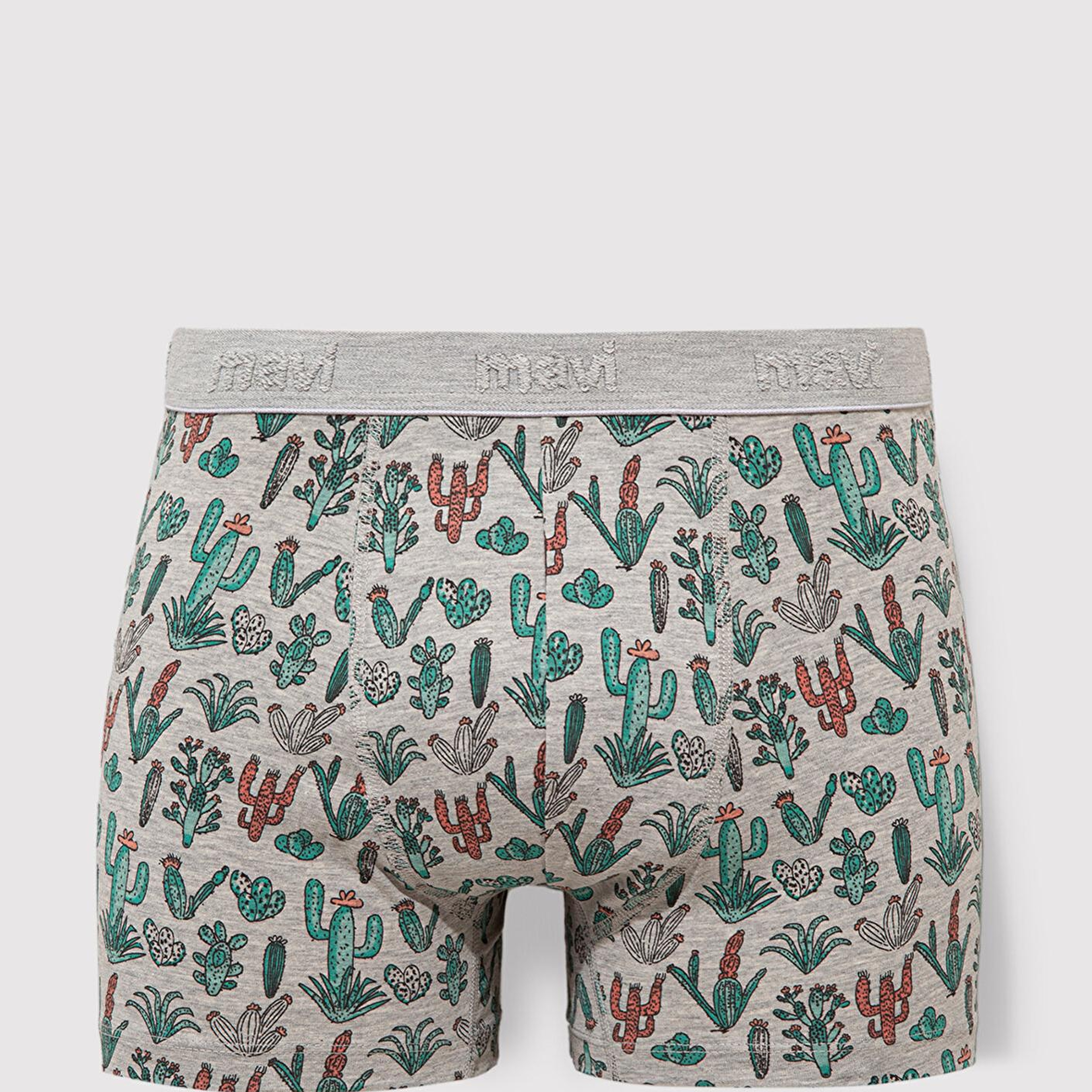 Mavi Kaktüs Baskılı Gri Boxer 091122-23854