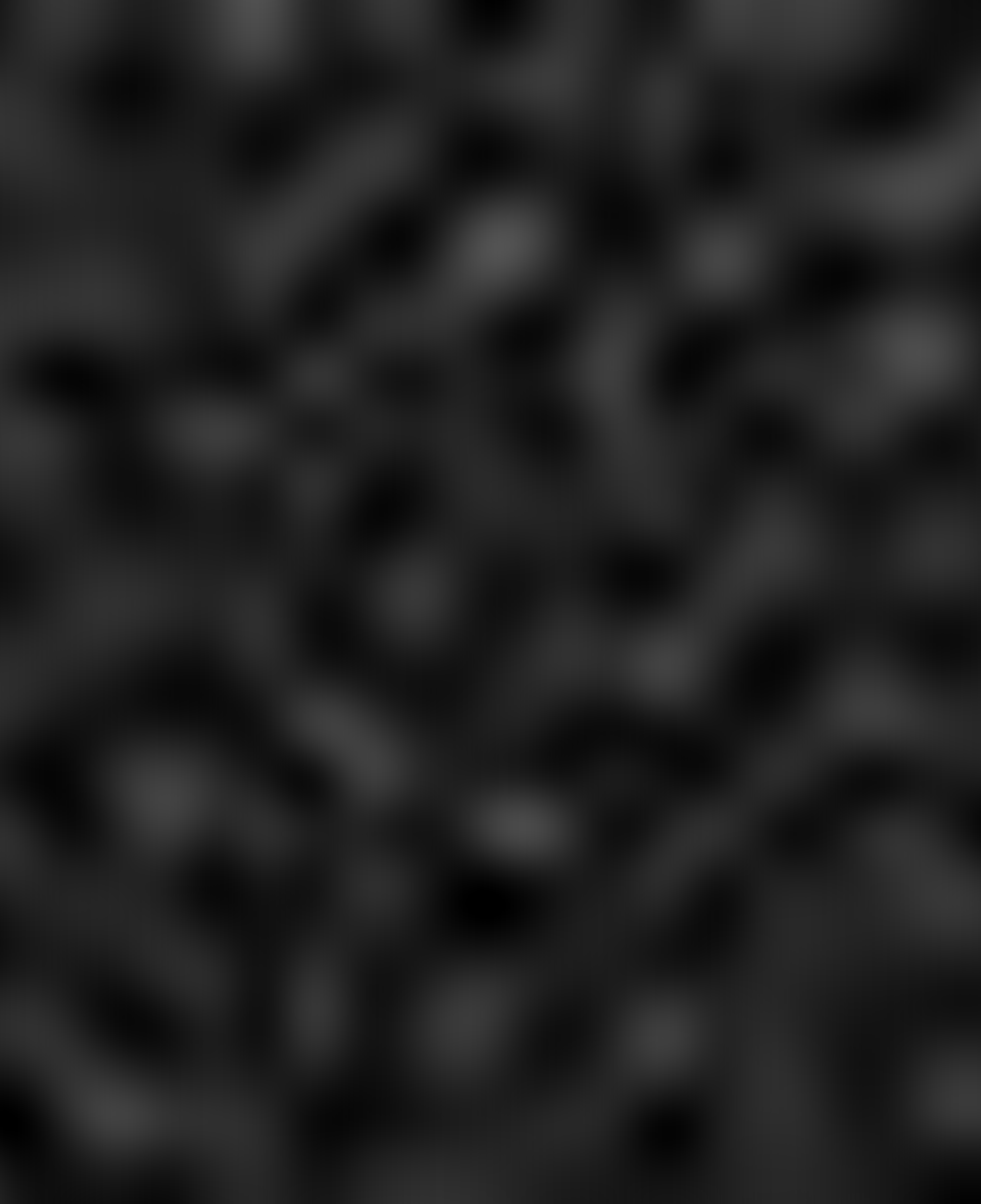 Nike Dunk Low Retro Panda Unisex Siyah - Beyaz Spor Ayakkabı