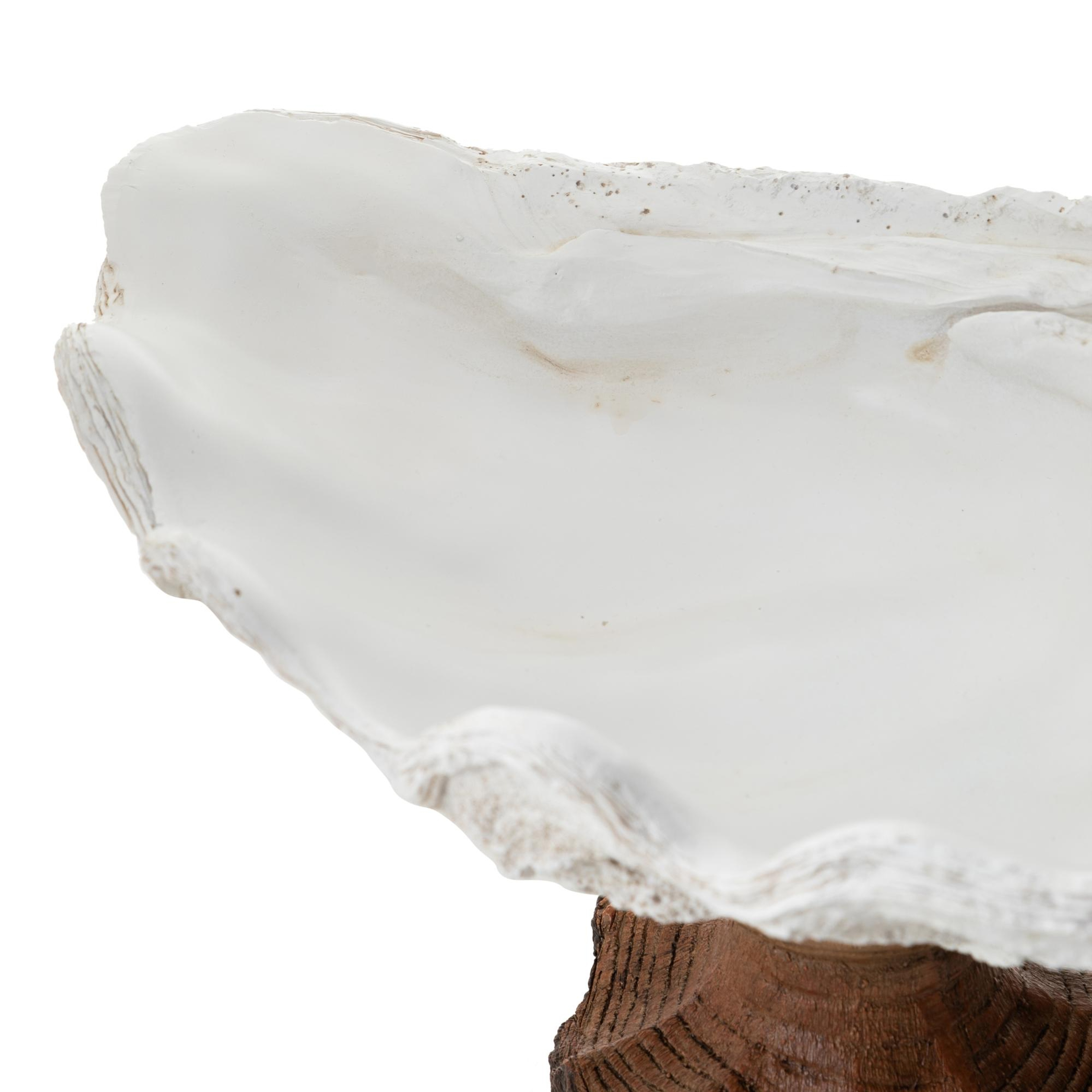 SHELL DEKORATİF KASE BEYAZ 34X22X20 CM