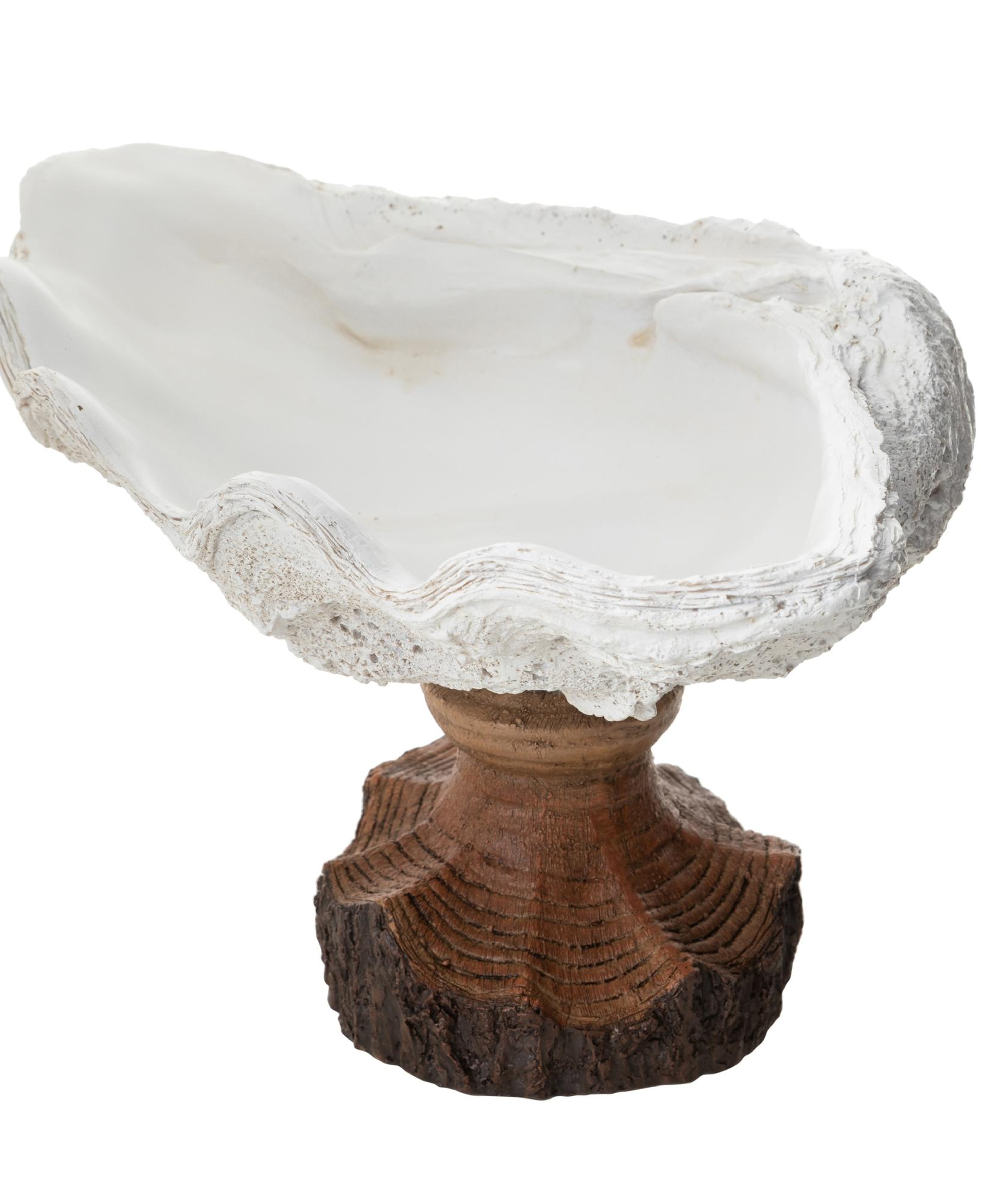 SHELL DEKORATİF KASE BEYAZ 34X22X20 CM