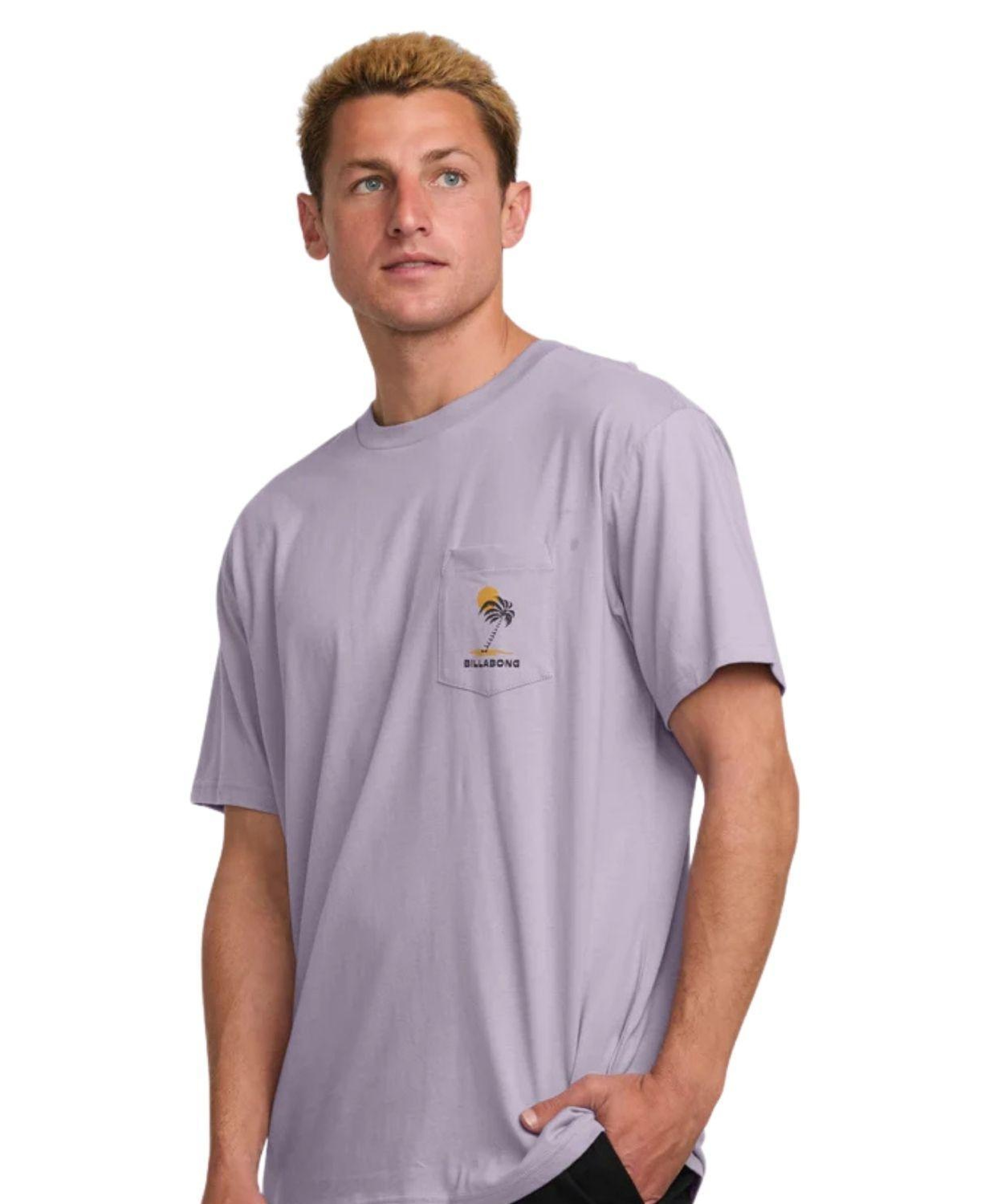 Billabong Troppo Premium Ss Erkek Mor Tişört