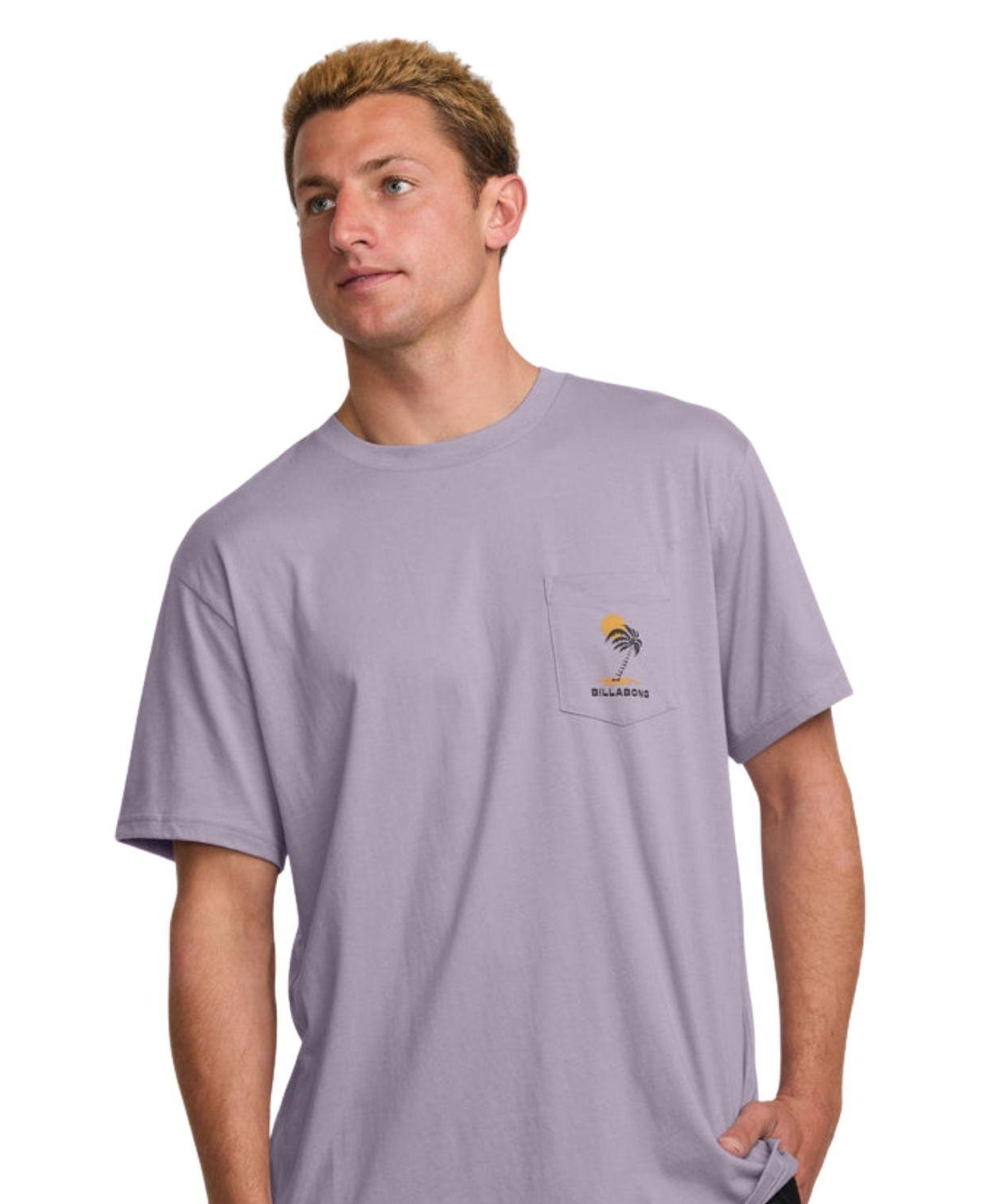 Billabong Troppo Premium Ss Erkek Mor Tişört
