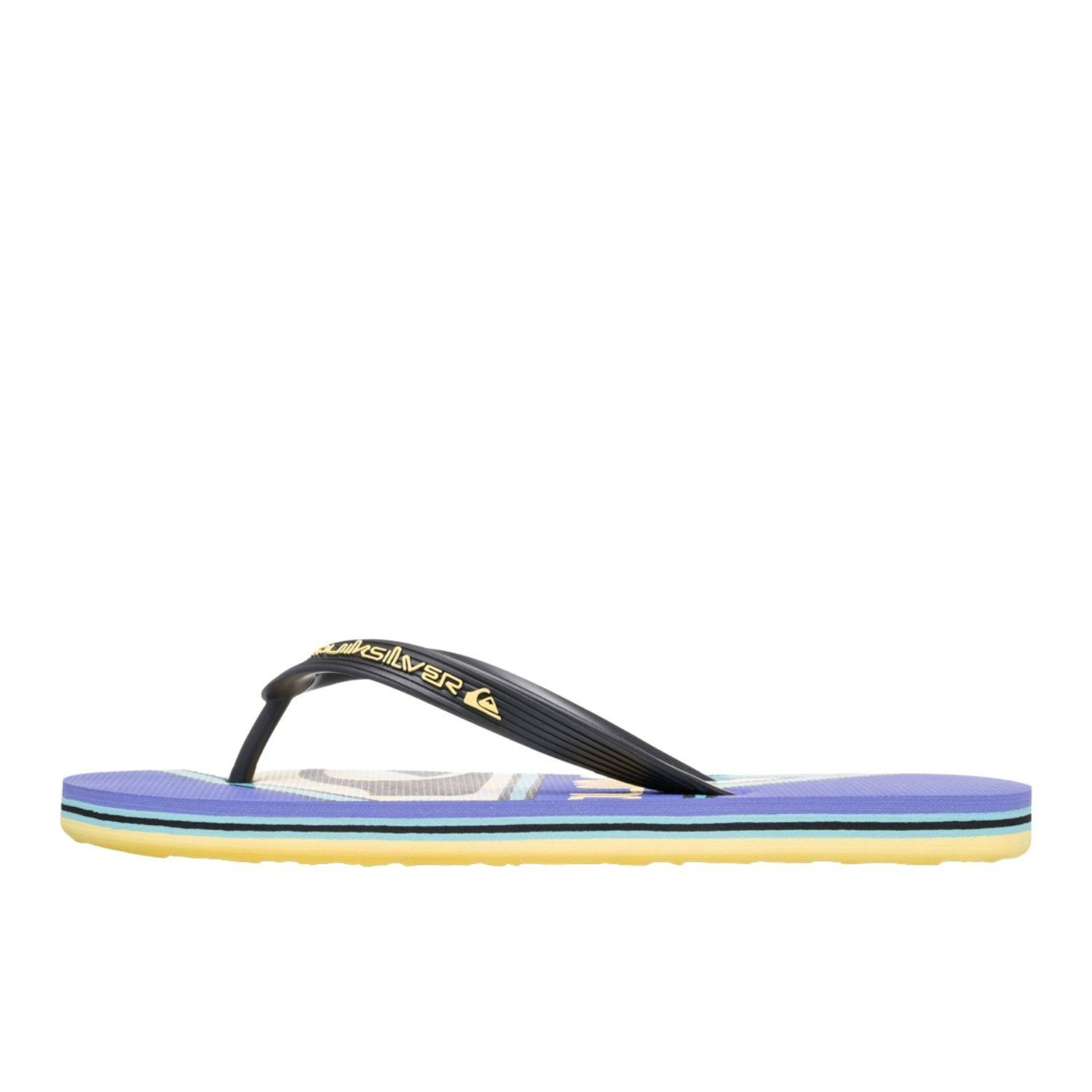 Quiksilver Molokai Screen Erkek Terlik