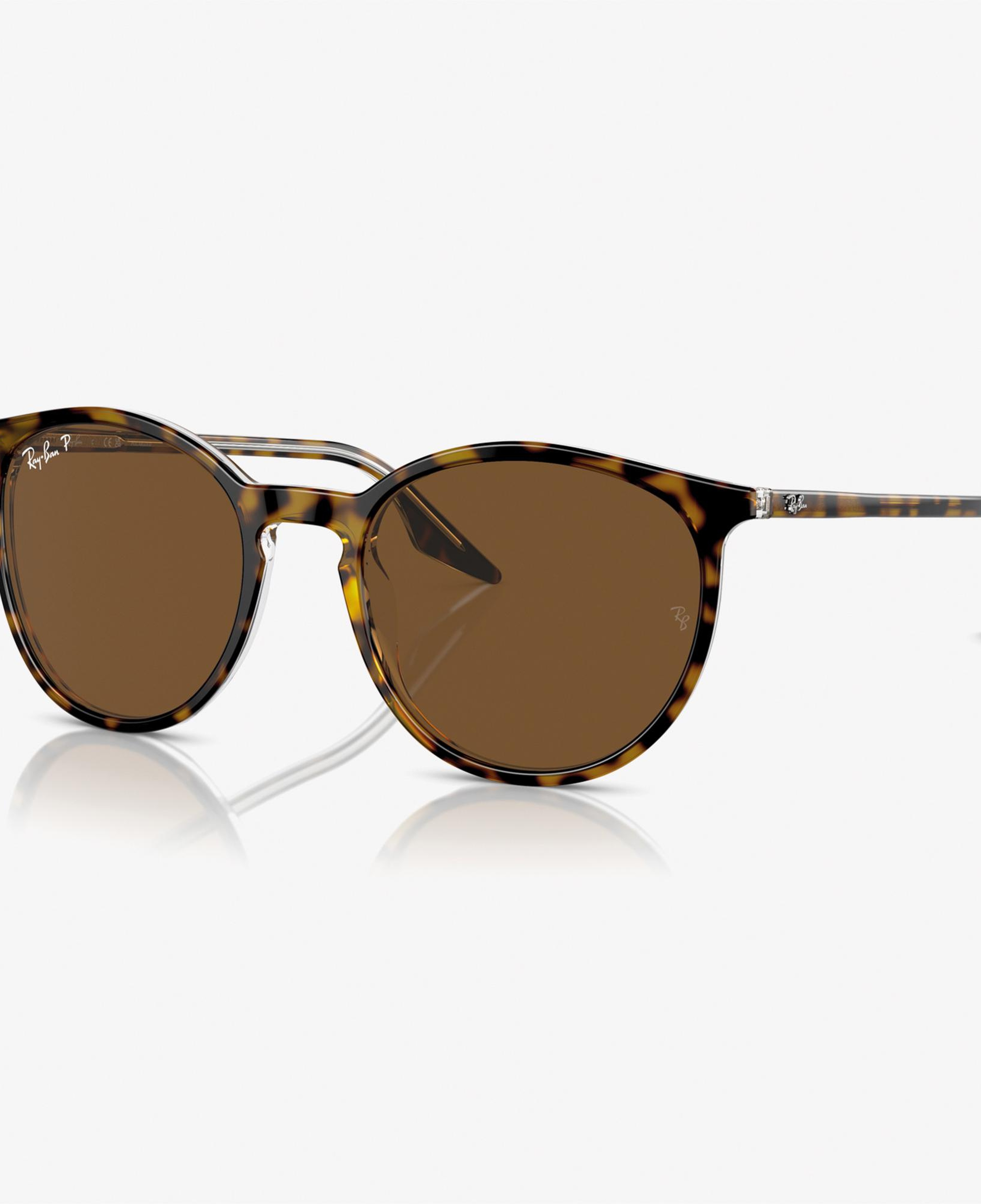 RAY-BAN 0RB2204 Acetate Unisex Kahverengi Güneş Gözlüğü
