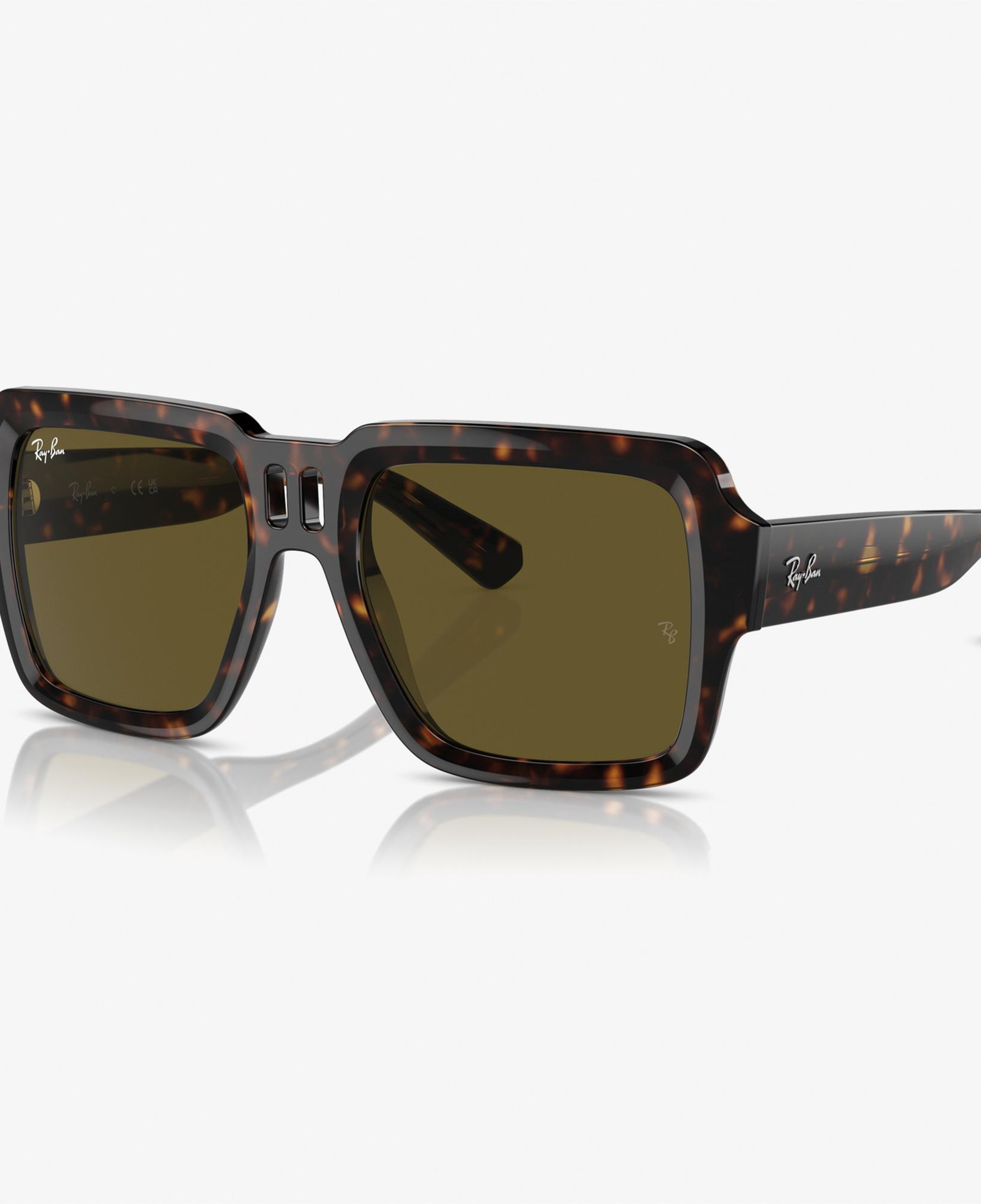 RAY-BAN 0RB4408 Injected Unisex Kahverengi Güneş Gözlüğü