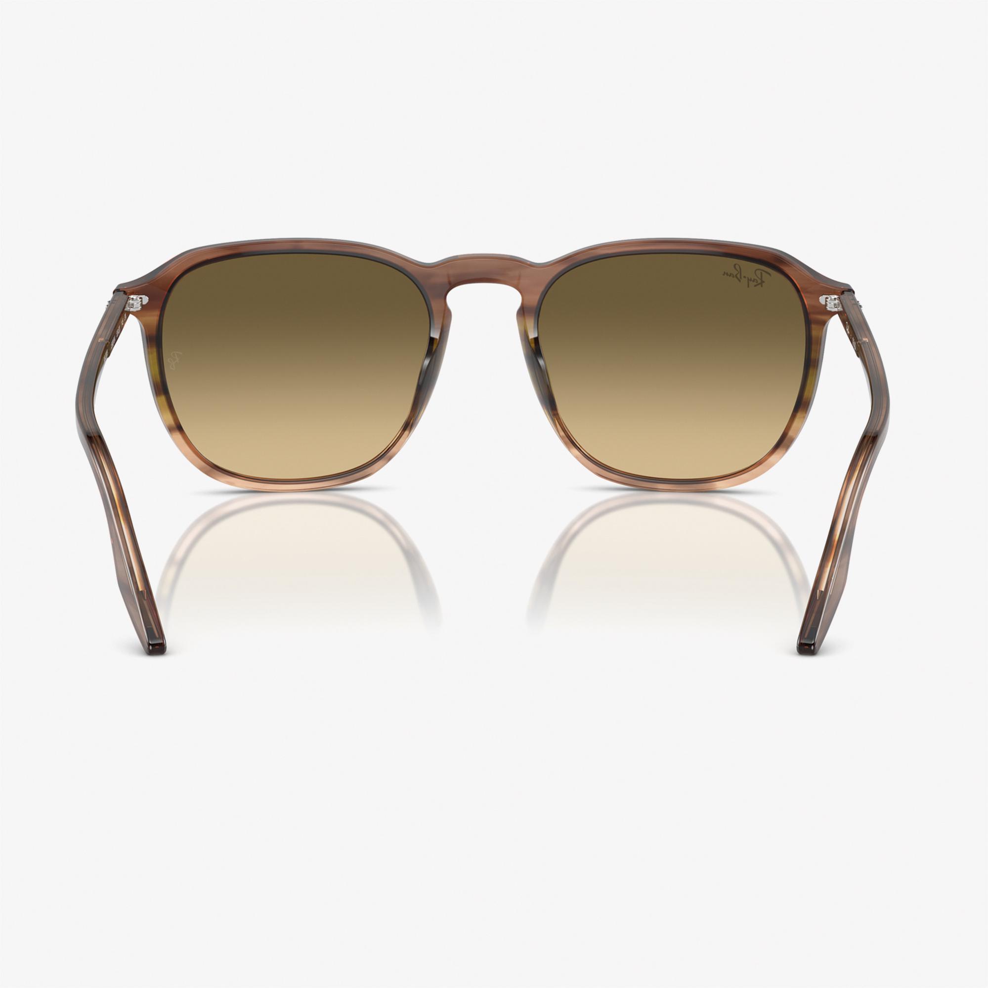 RAY-BAN 0RB2203 Acetate Unisex Kahverengi Güneş Gözlüğü