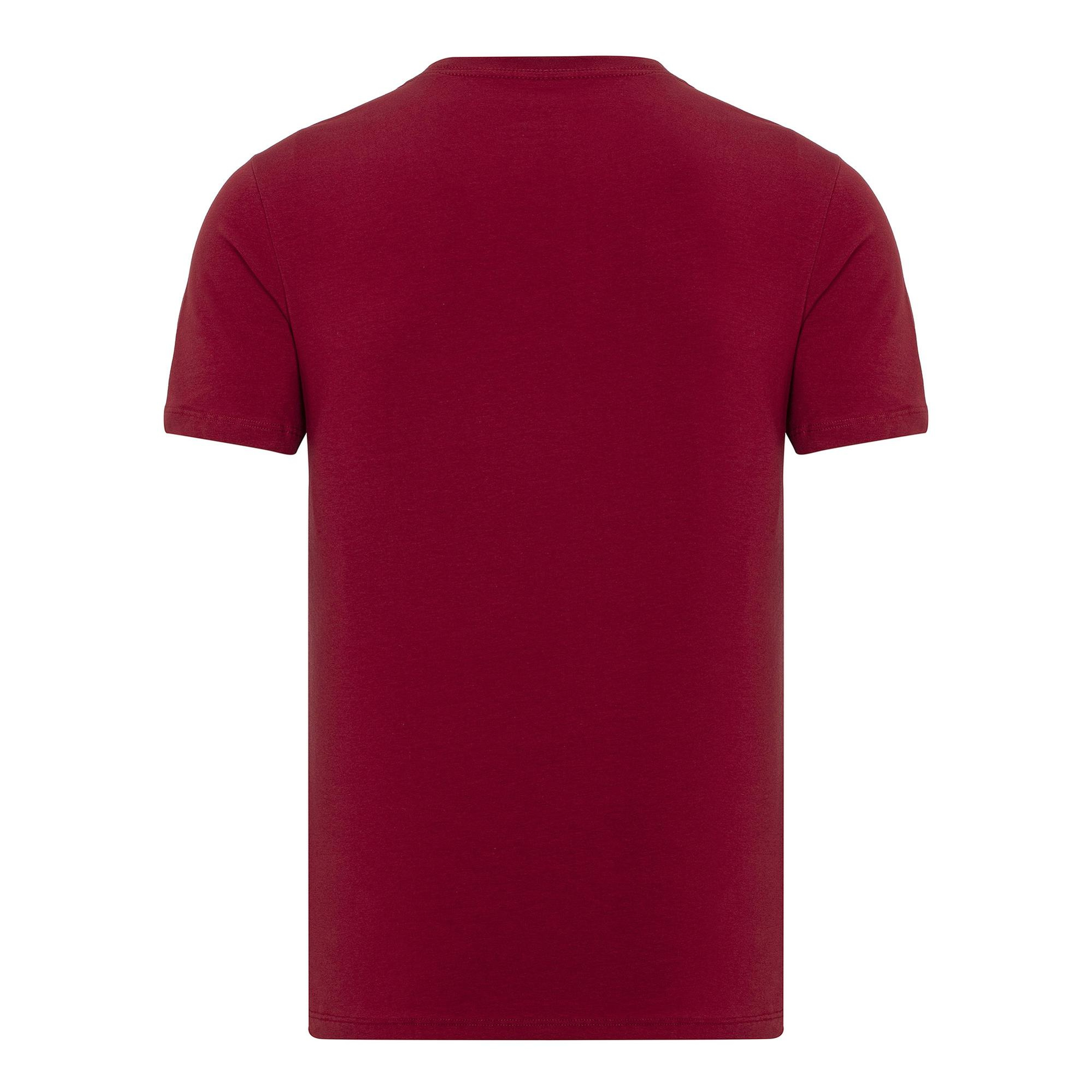 Routefield Tri Erkek Kırmızı Tişört