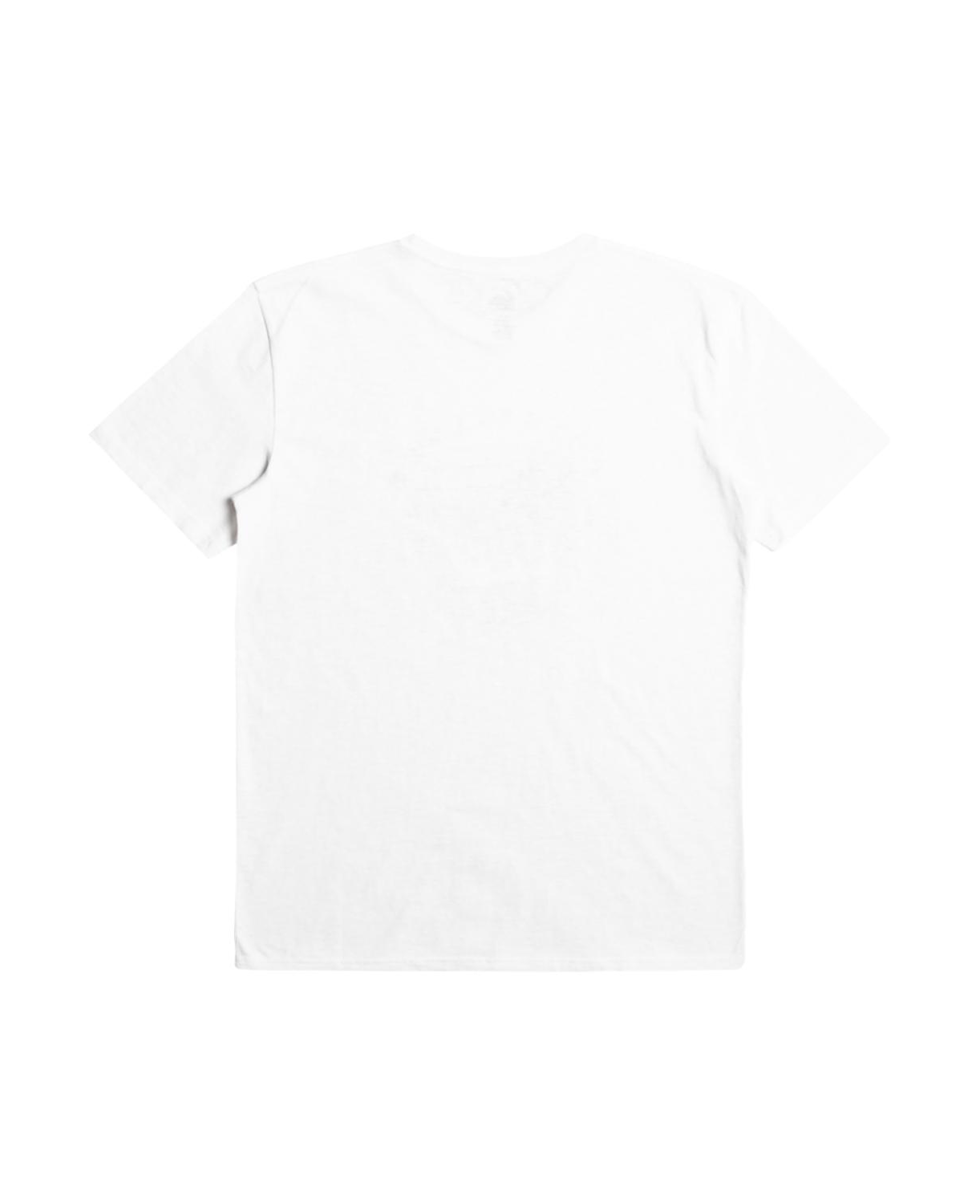 Quiksilver Qssurfclubii Erkek Renkli Tişört