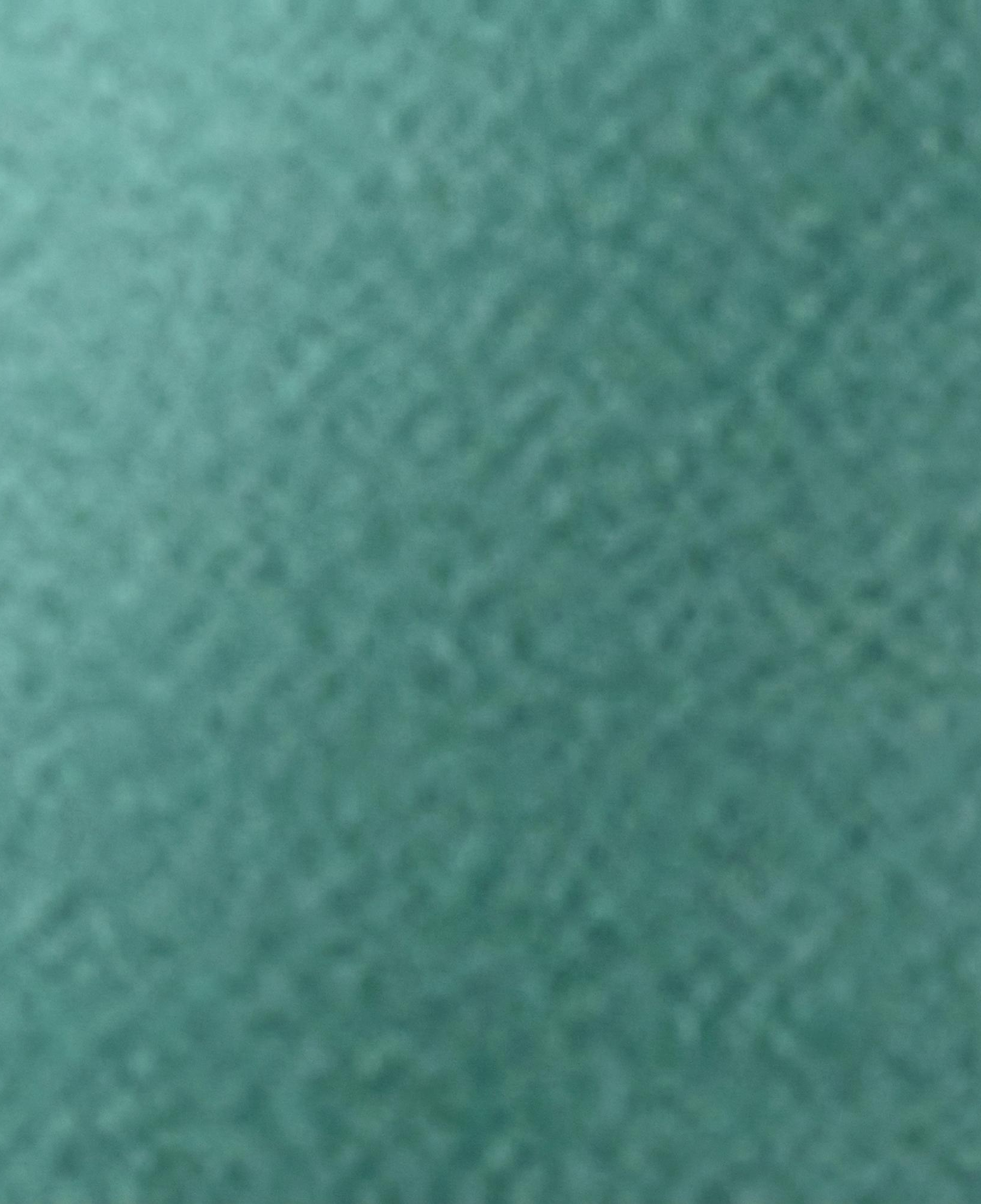 Nautica Kadın Yeşil Regular Fit Kapüşonlu Sweatshirt