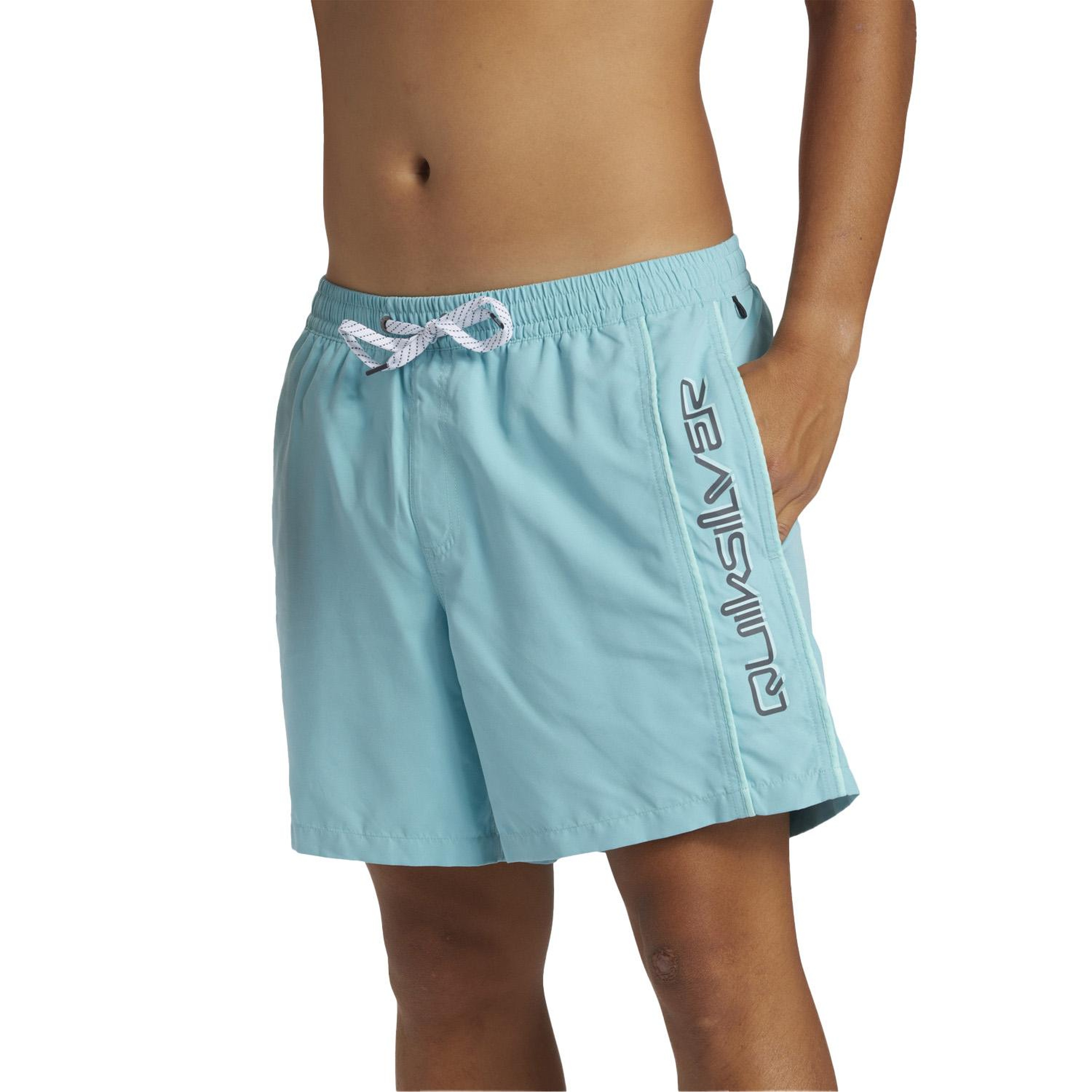 Quiksilver Everyday Vert 16 Erkek Mavi Volley Short