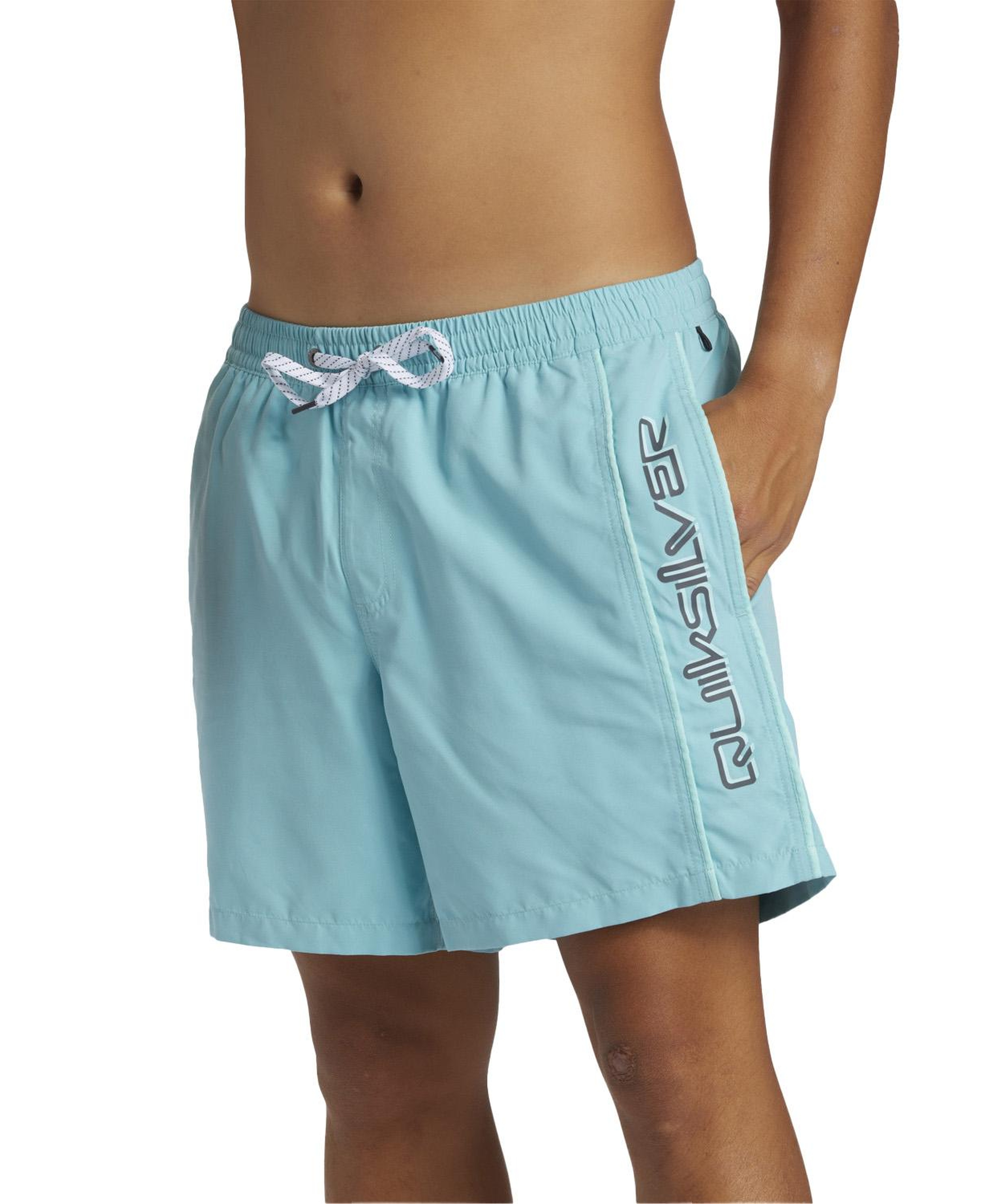 Quiksilver Everyday Vert 16 Erkek Mavi Volley Short