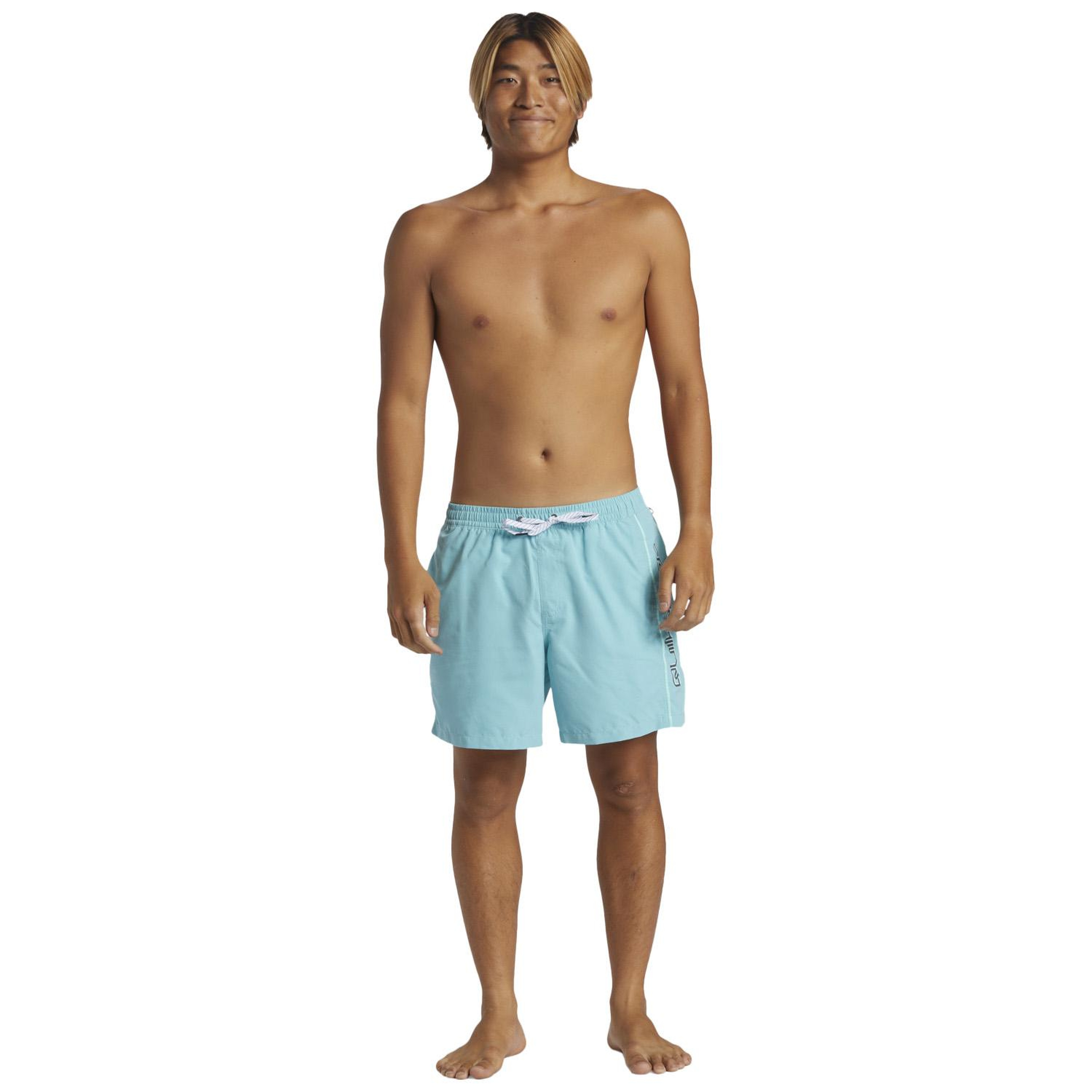 Quiksilver Everyday Vert 16 Erkek Mavi Volley Short