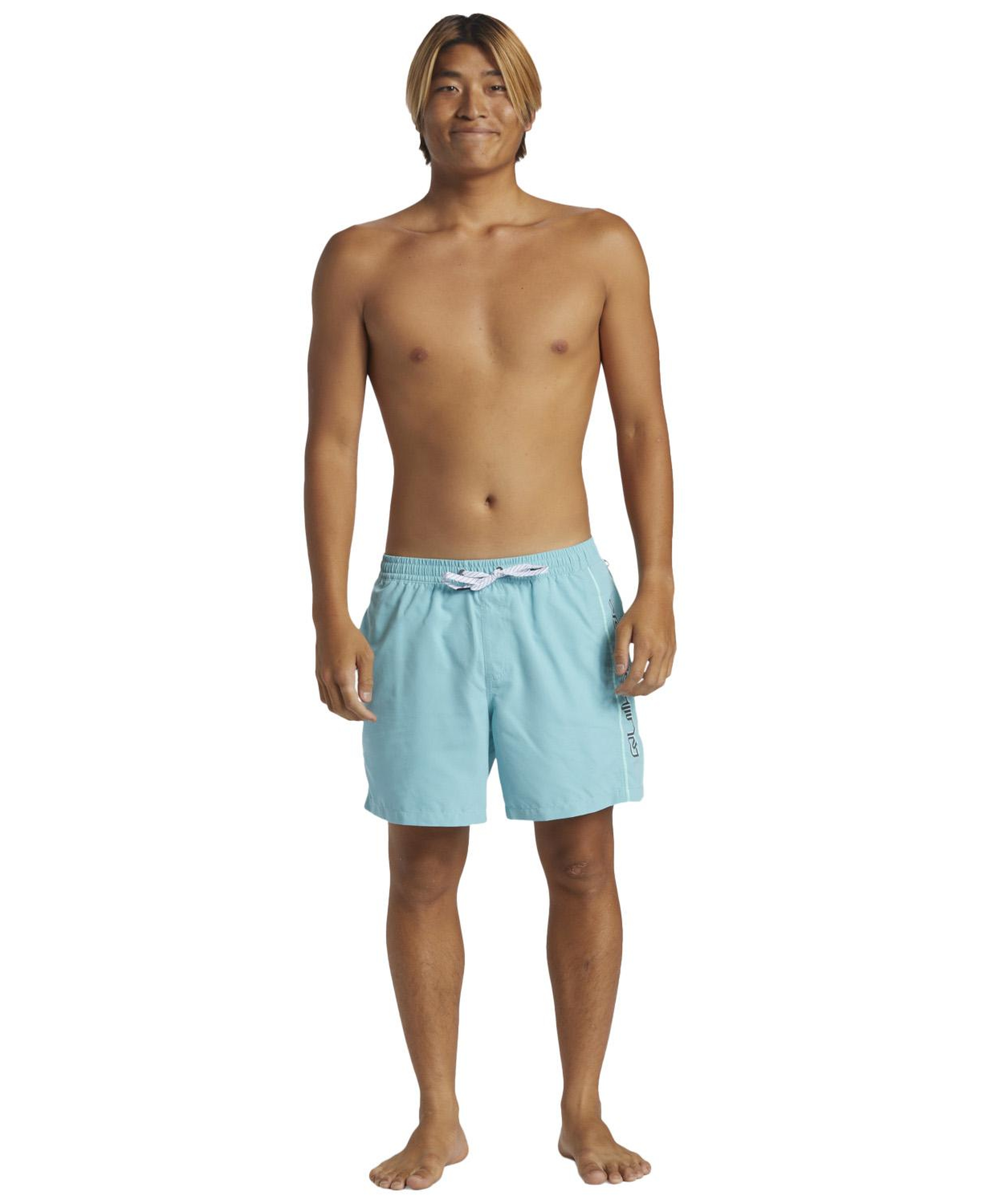Quiksilver Everyday Vert 16 Erkek Mavi Volley Short