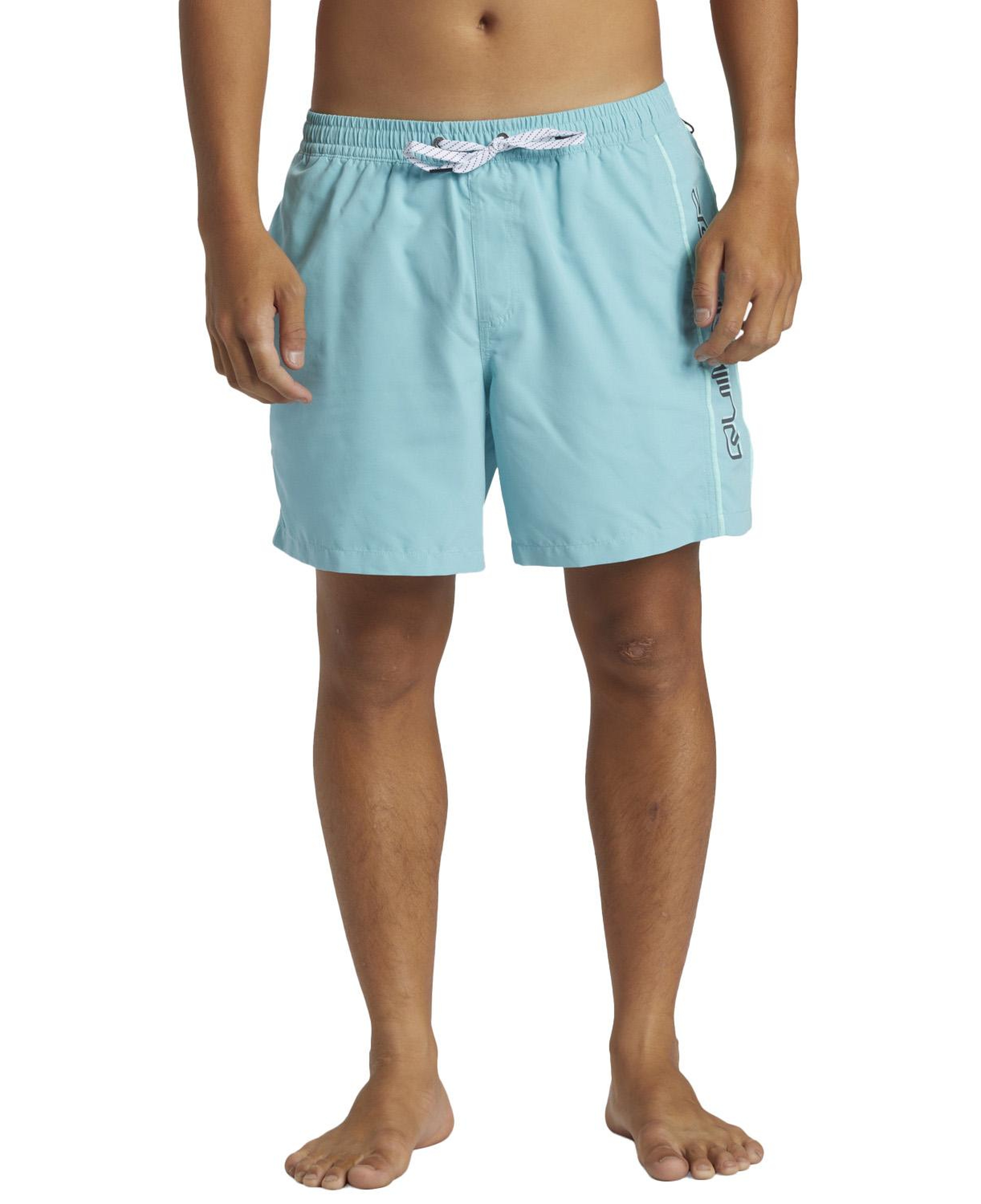 Quiksilver Everyday Vert 16 Erkek Mavi Volley Short