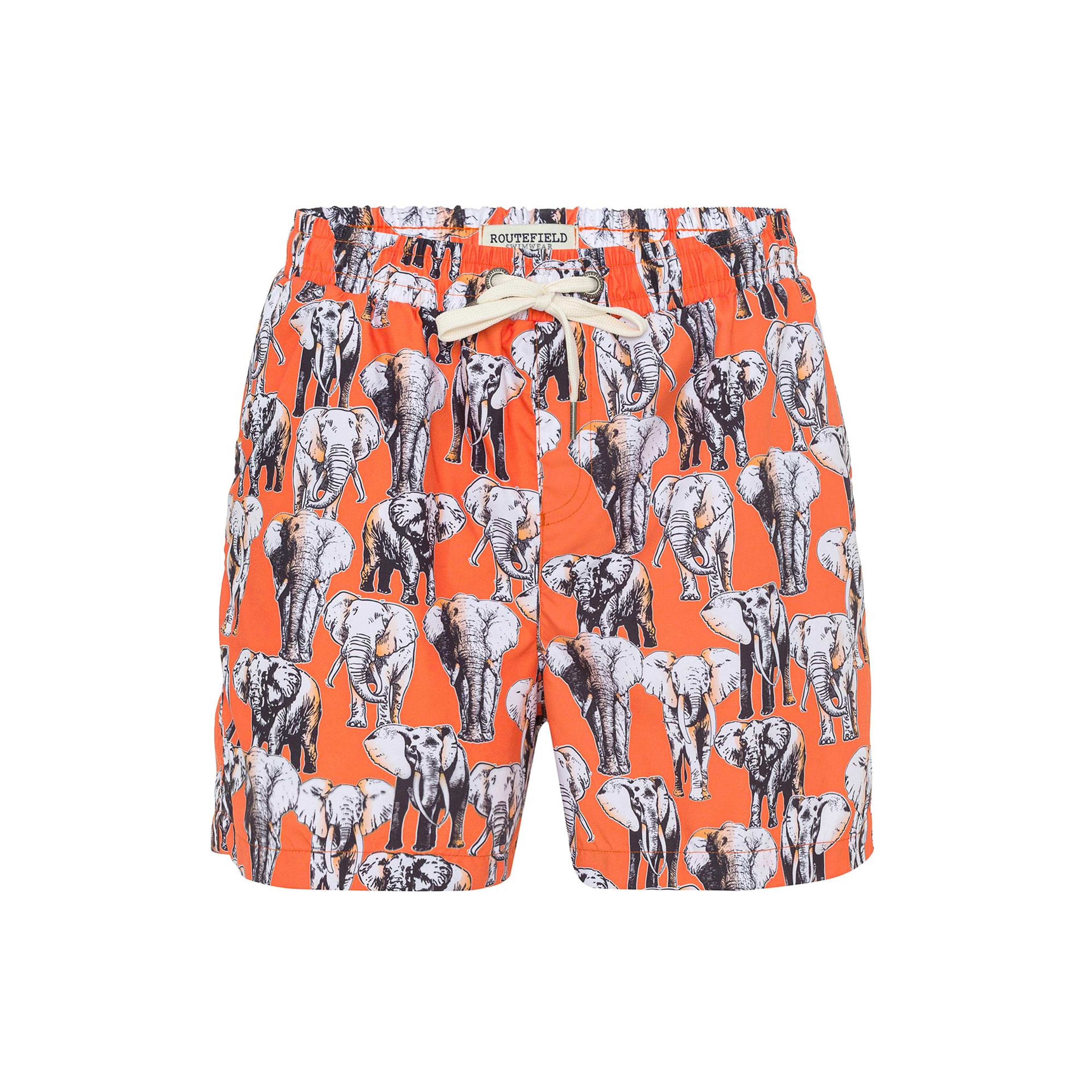 Routefield Vince Erkek Volley Short