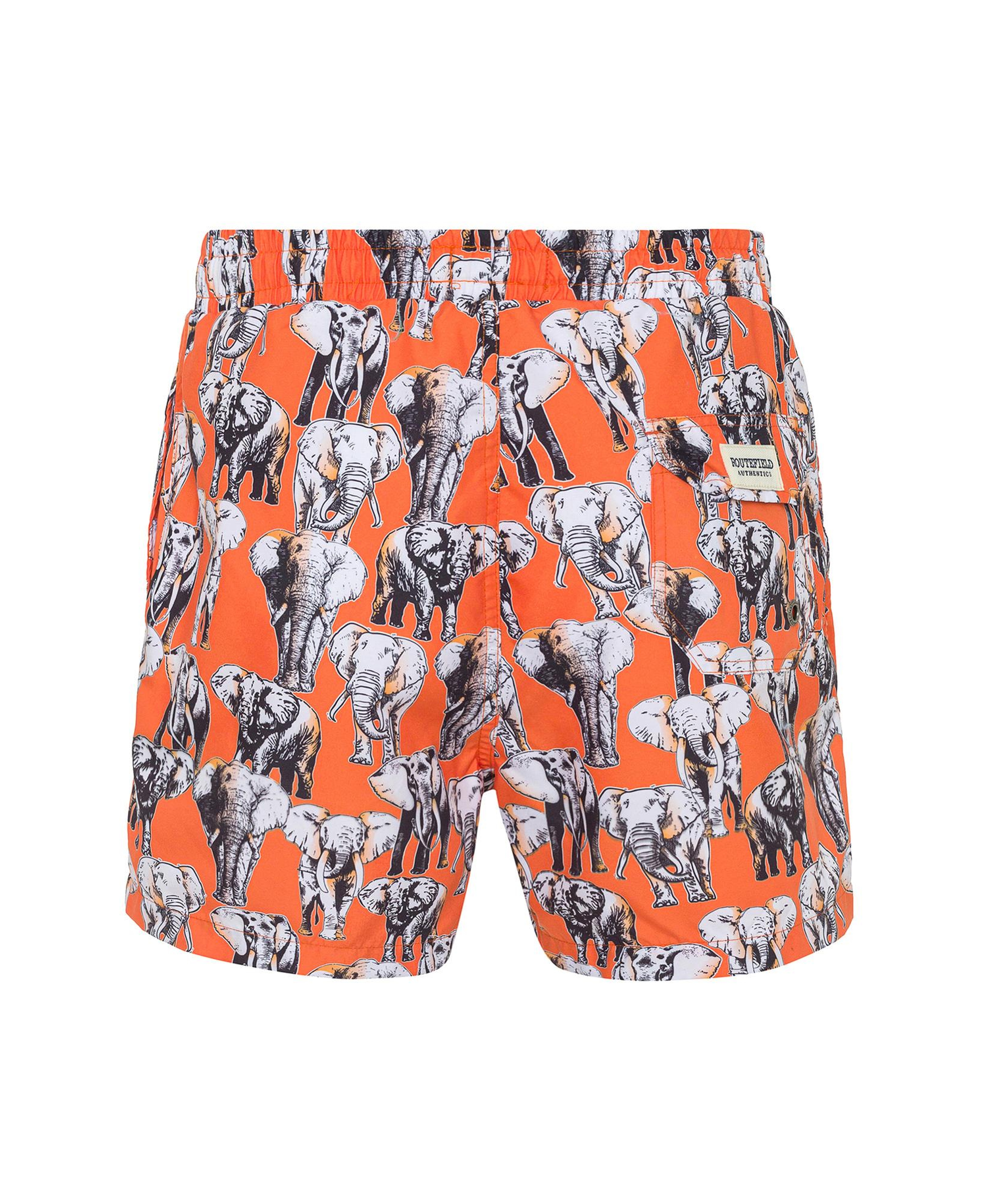 Routefield Vince Erkek Volley Short