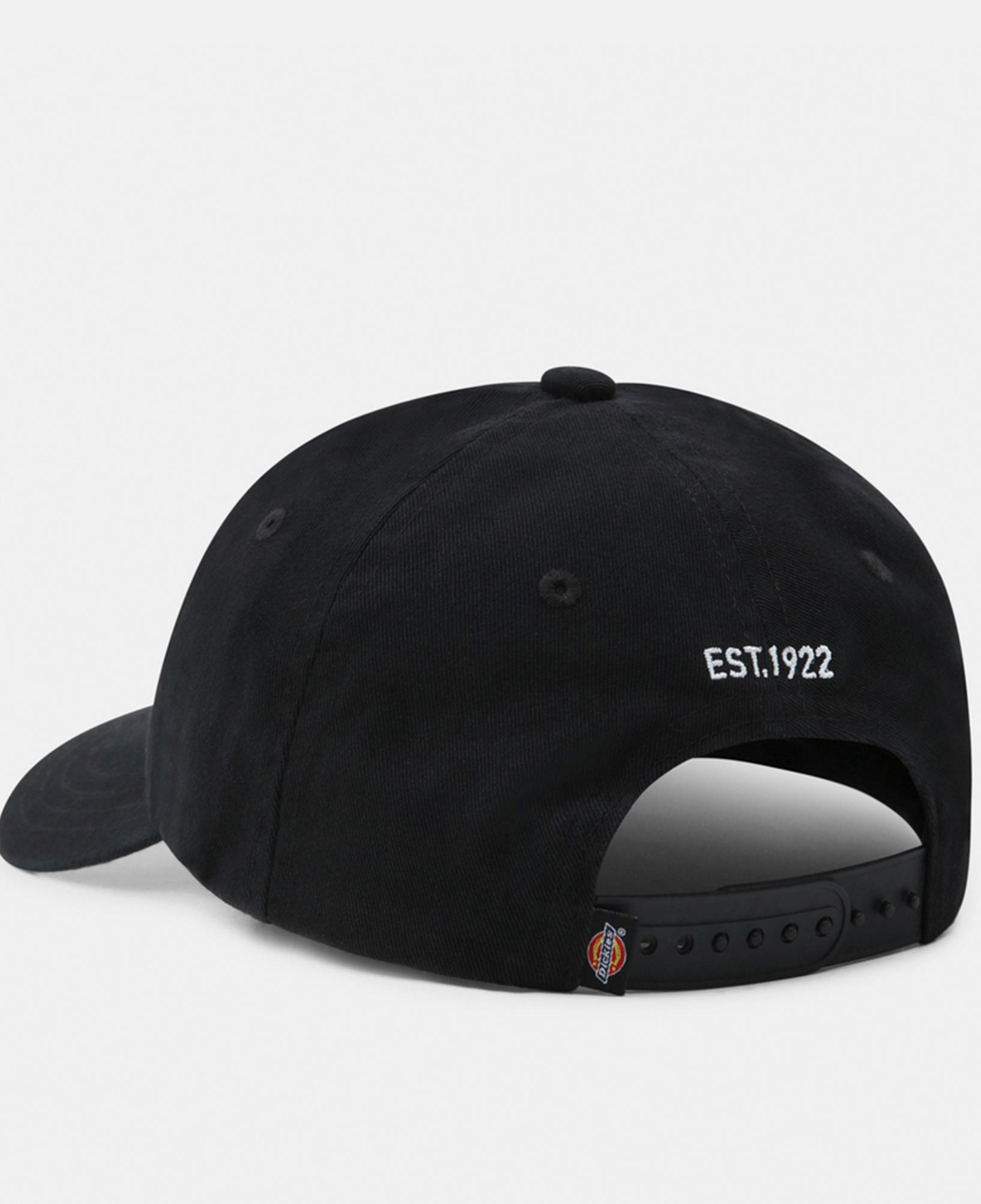 Dickies Hardwick Erkek Siyah Bere