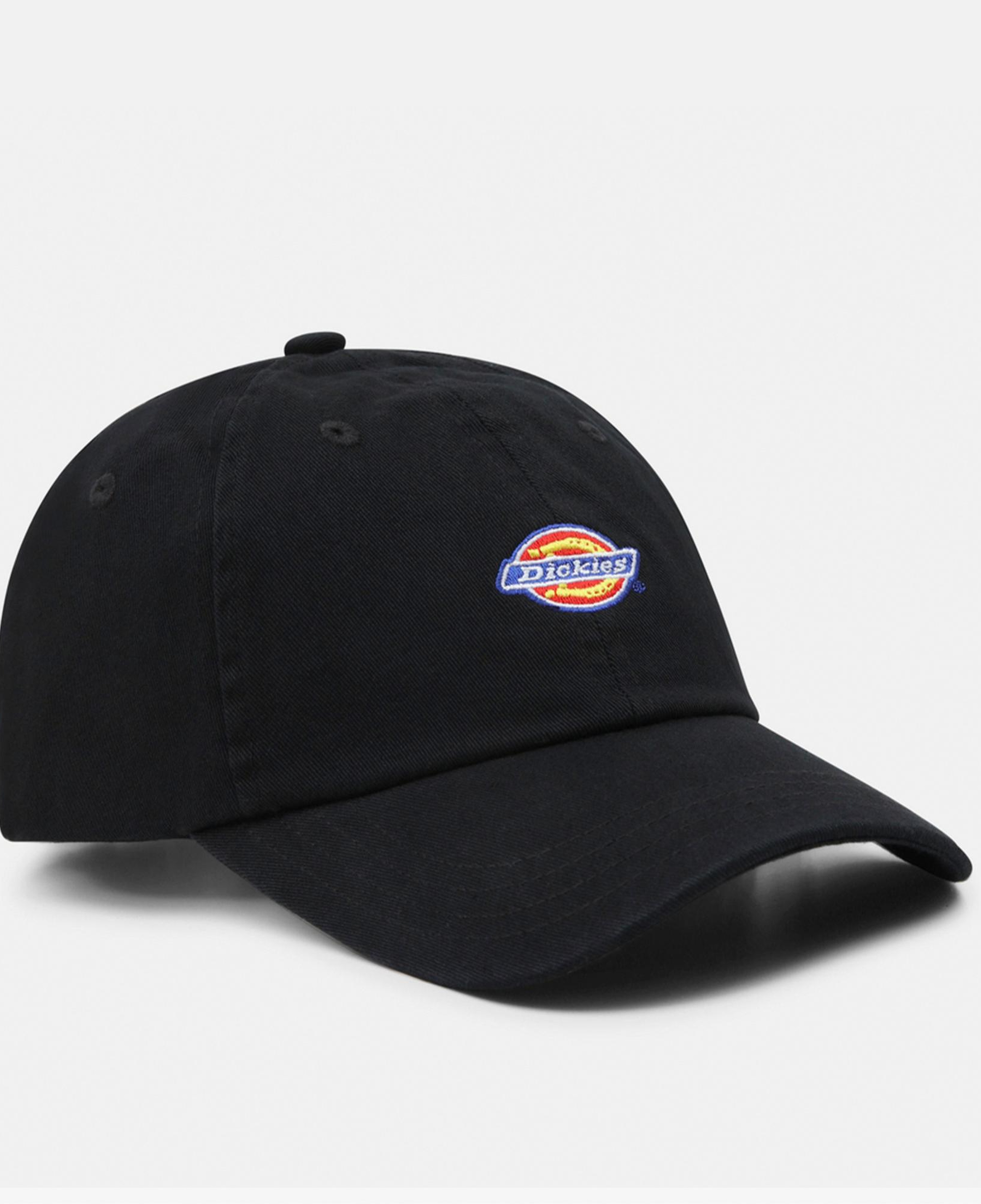 Dickies Hardwick Erkek Siyah Bere