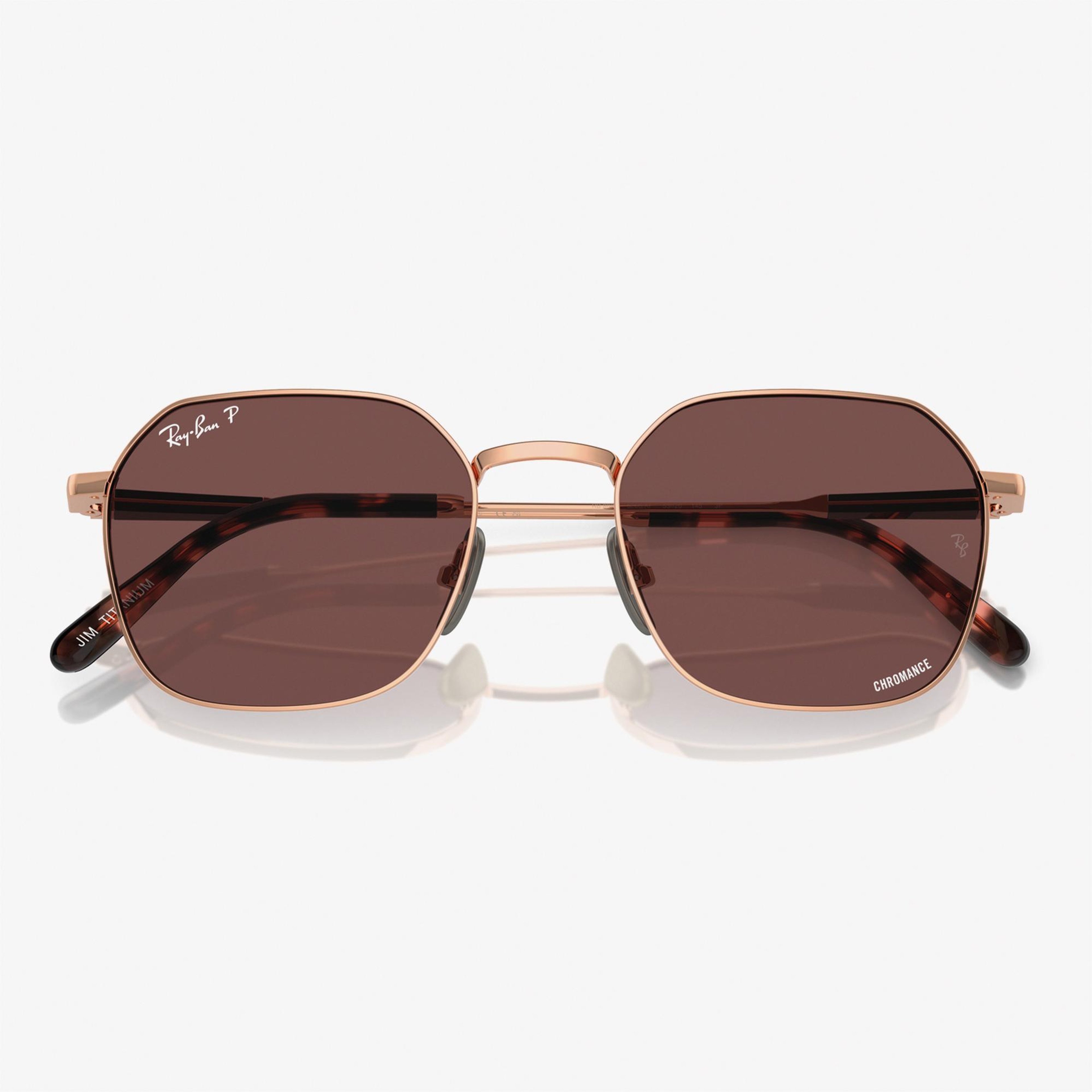 RAY-BAN 0RB8094 Titanium Unisex Kahverengi Güneş Gözlüğü
