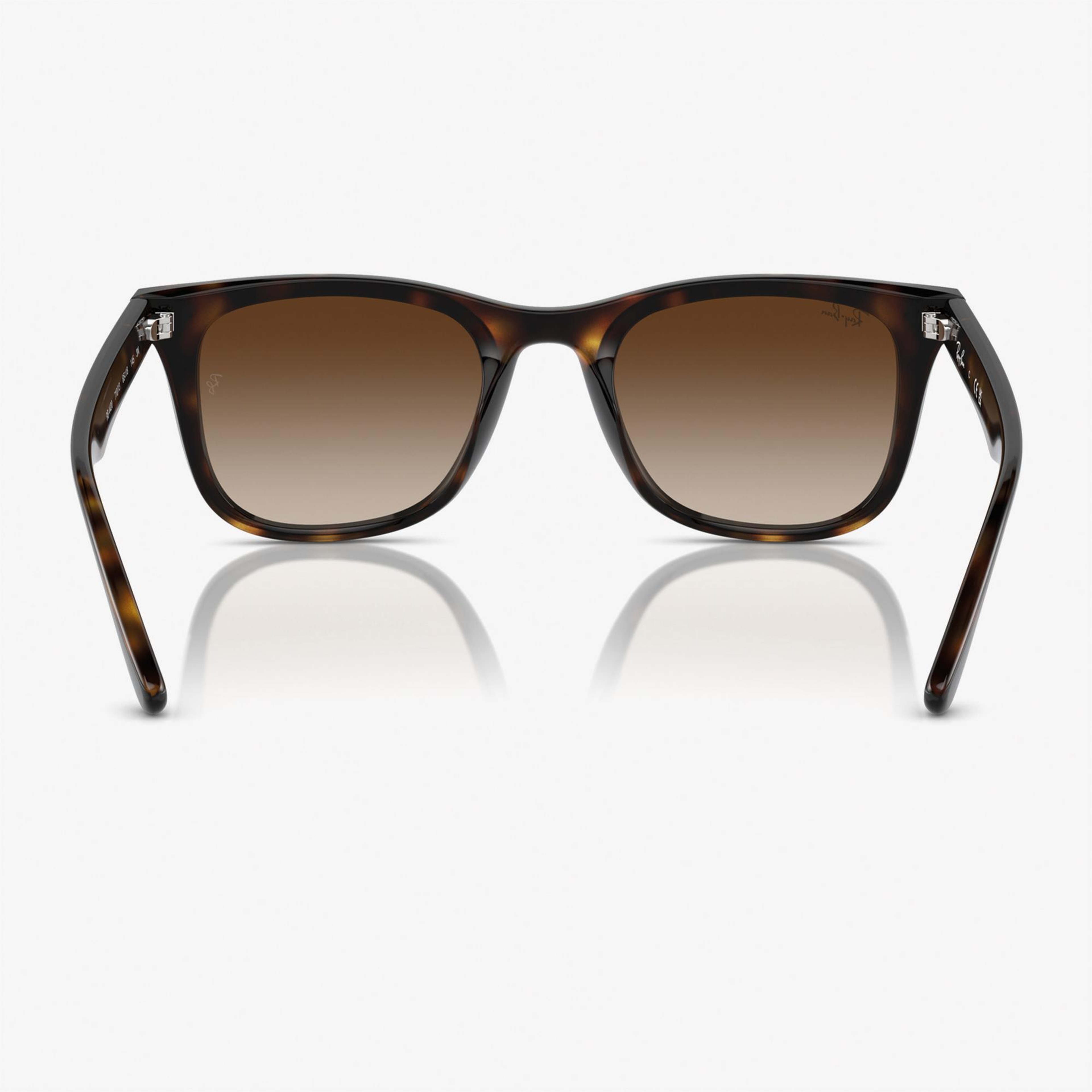 RAY-BAN 0RB4420 Injected Unisex Kahverengi Güneş Gözlüğü