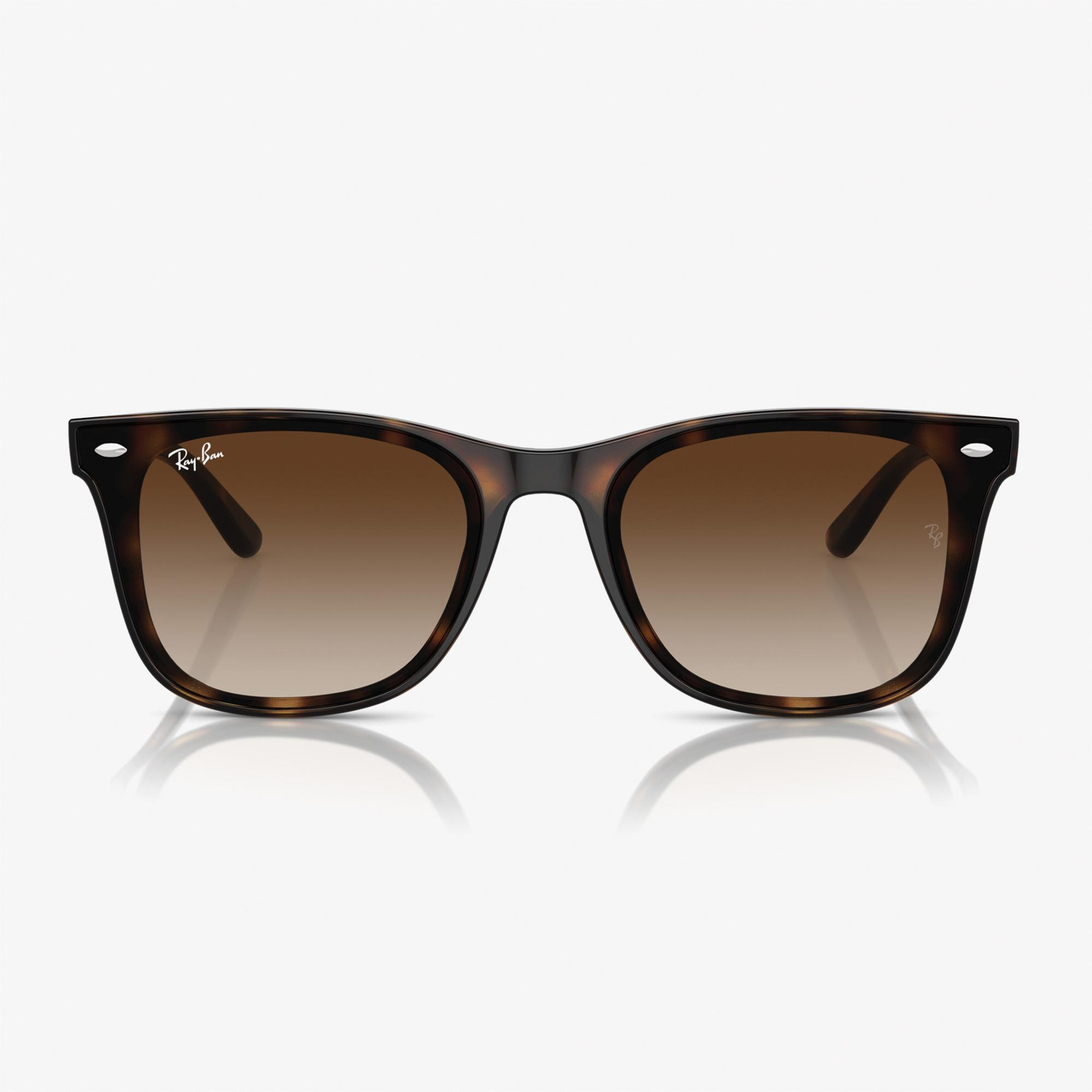 RAY-BAN 0RB4420 Injected Unisex Kahverengi Güneş Gözlüğü