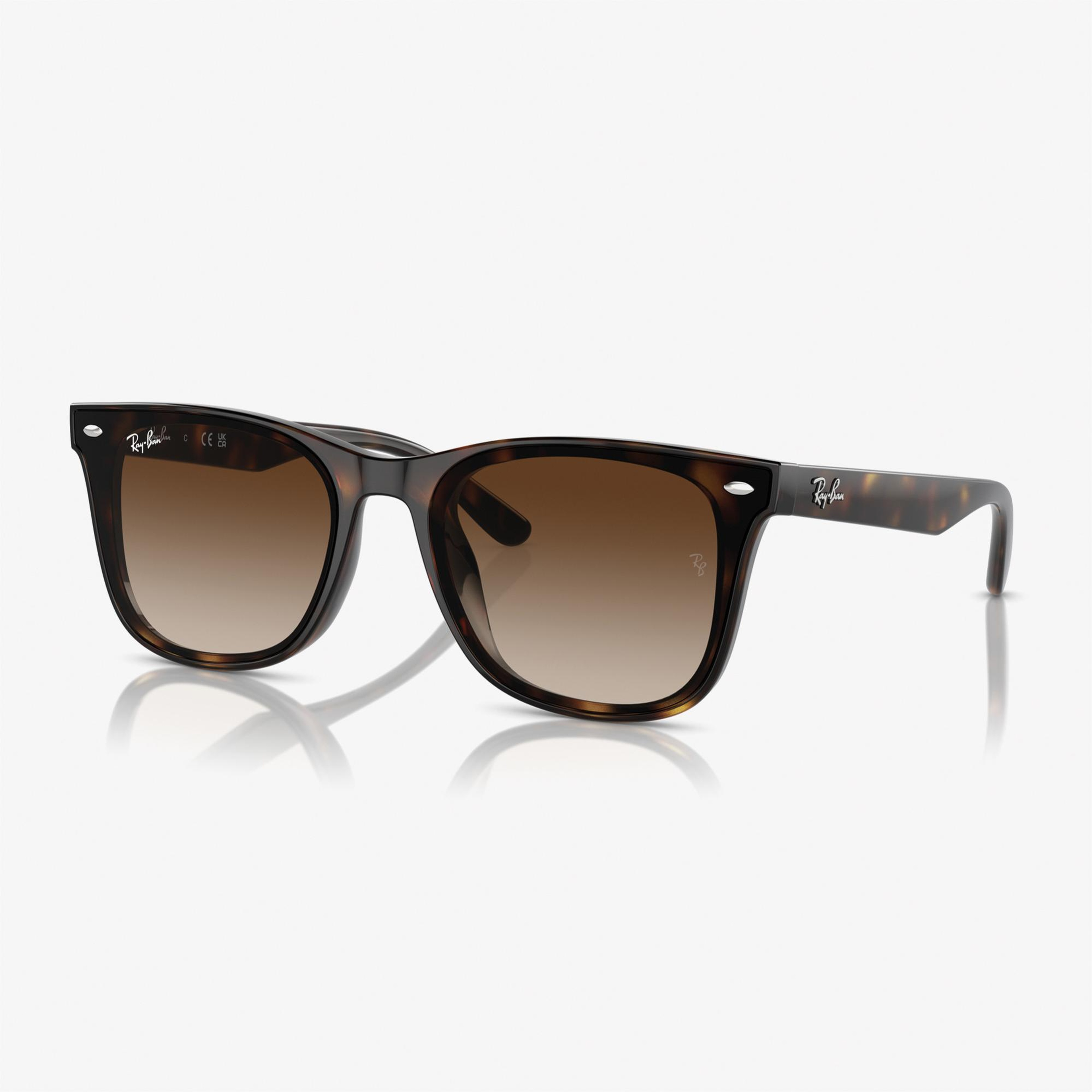RAY-BAN 0RB4420 Injected Unisex Kahverengi Güneş Gözlüğü