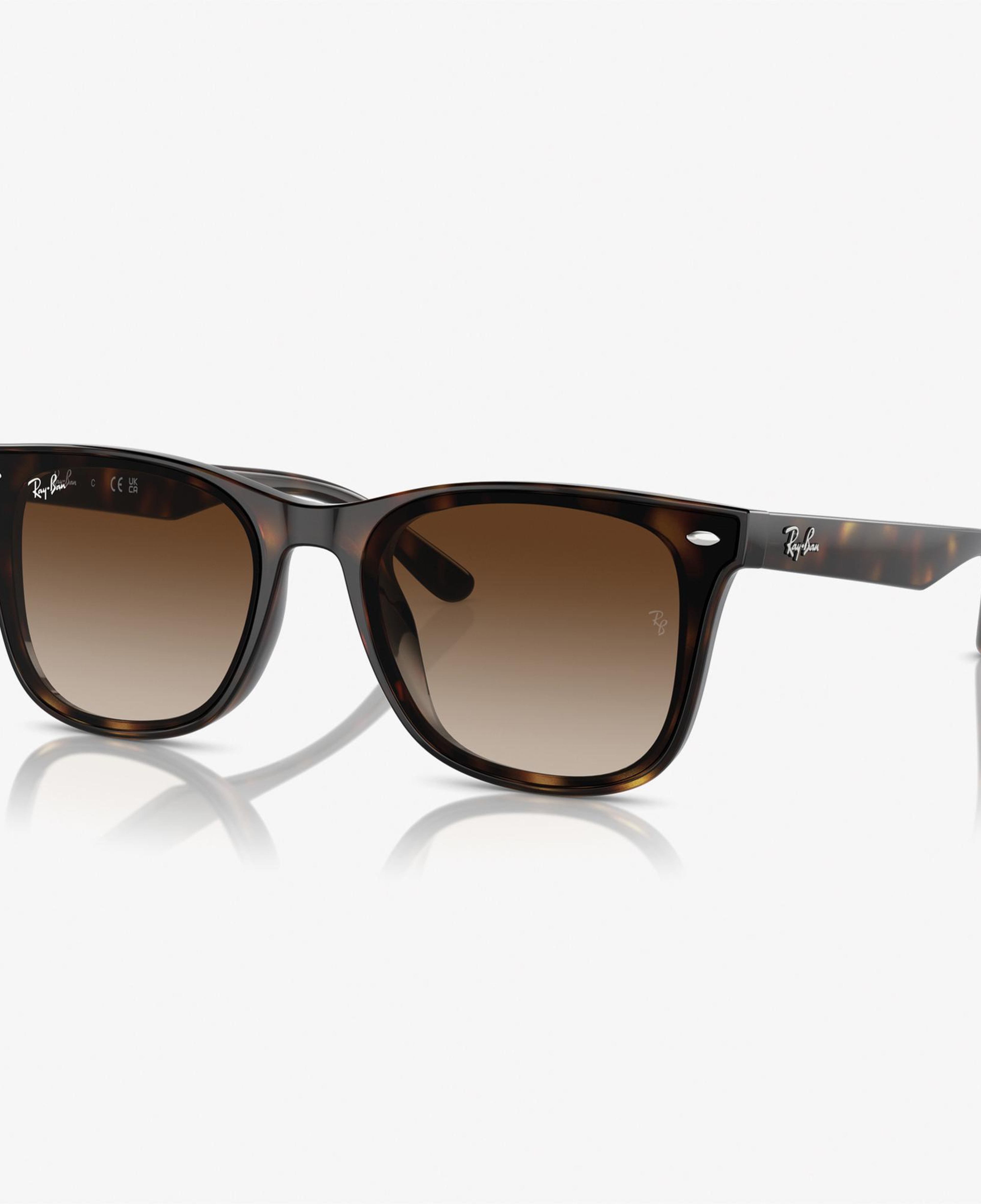 RAY-BAN 0RB4420 Injected Unisex Kahverengi Güneş Gözlüğü