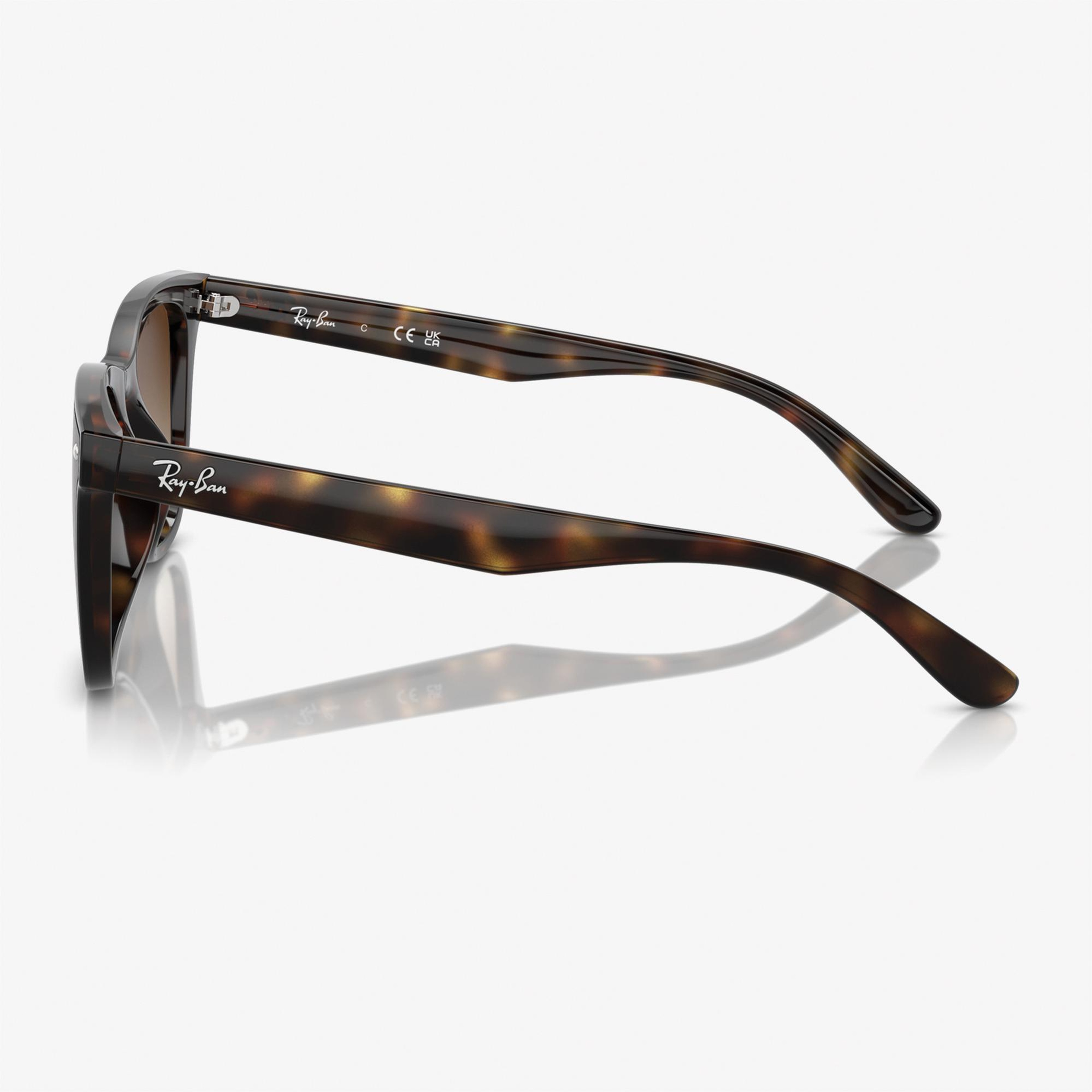 RAY-BAN 0RB4420 Injected Unisex Kahverengi Güneş Gözlüğü