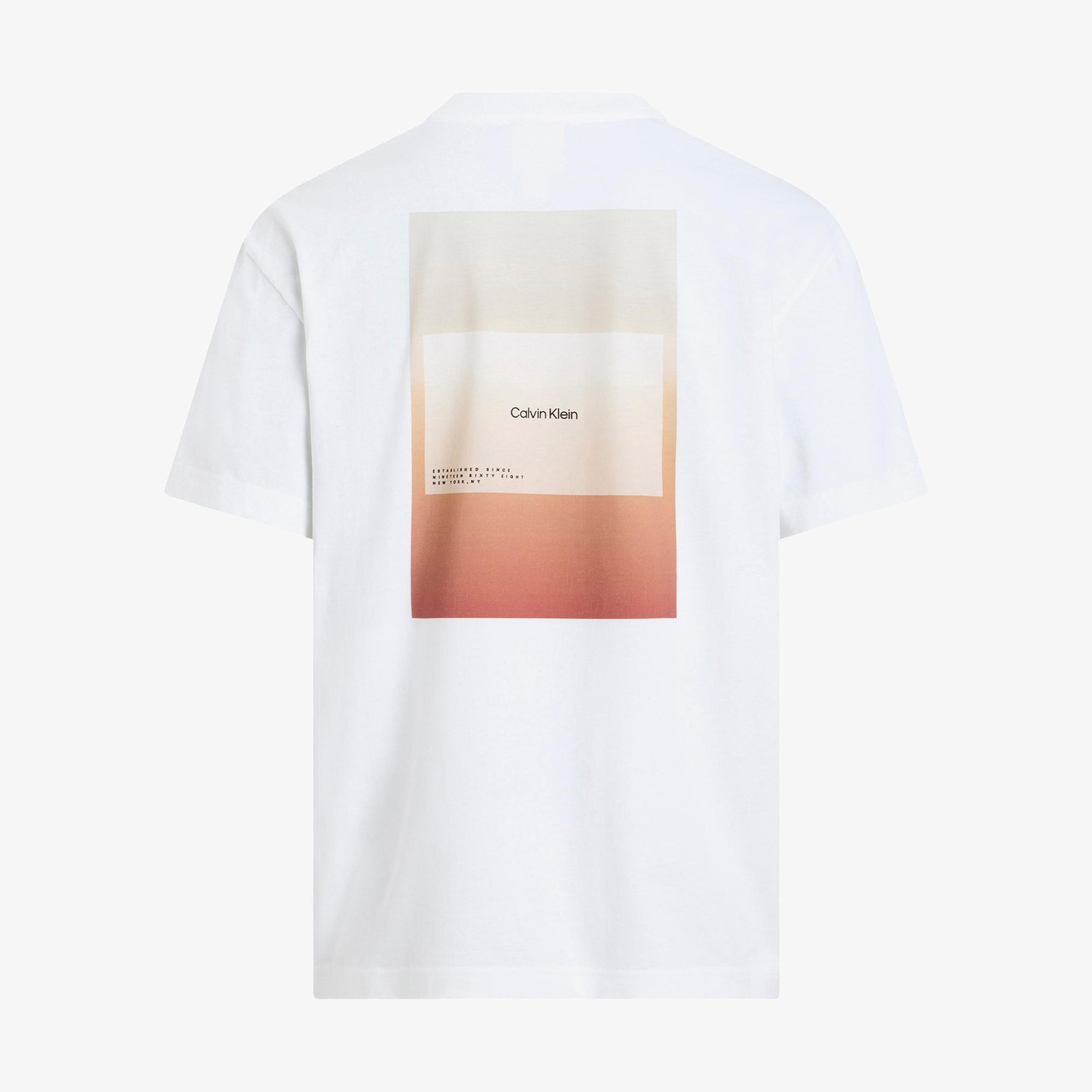 Calvin Klein Erkek Beyaz T-Shirt