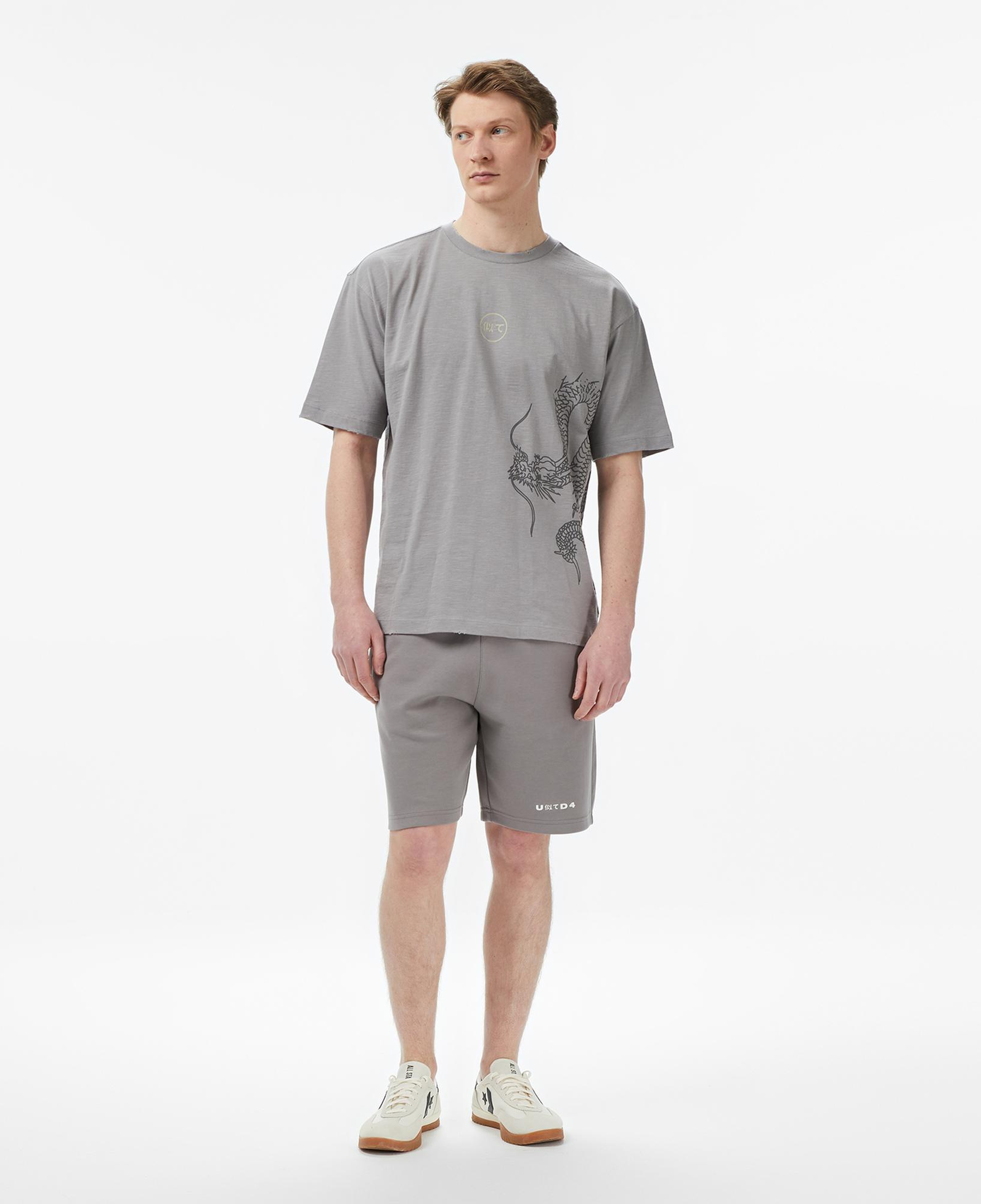 UNITED4 Regular Fit Erkek Gri Şort