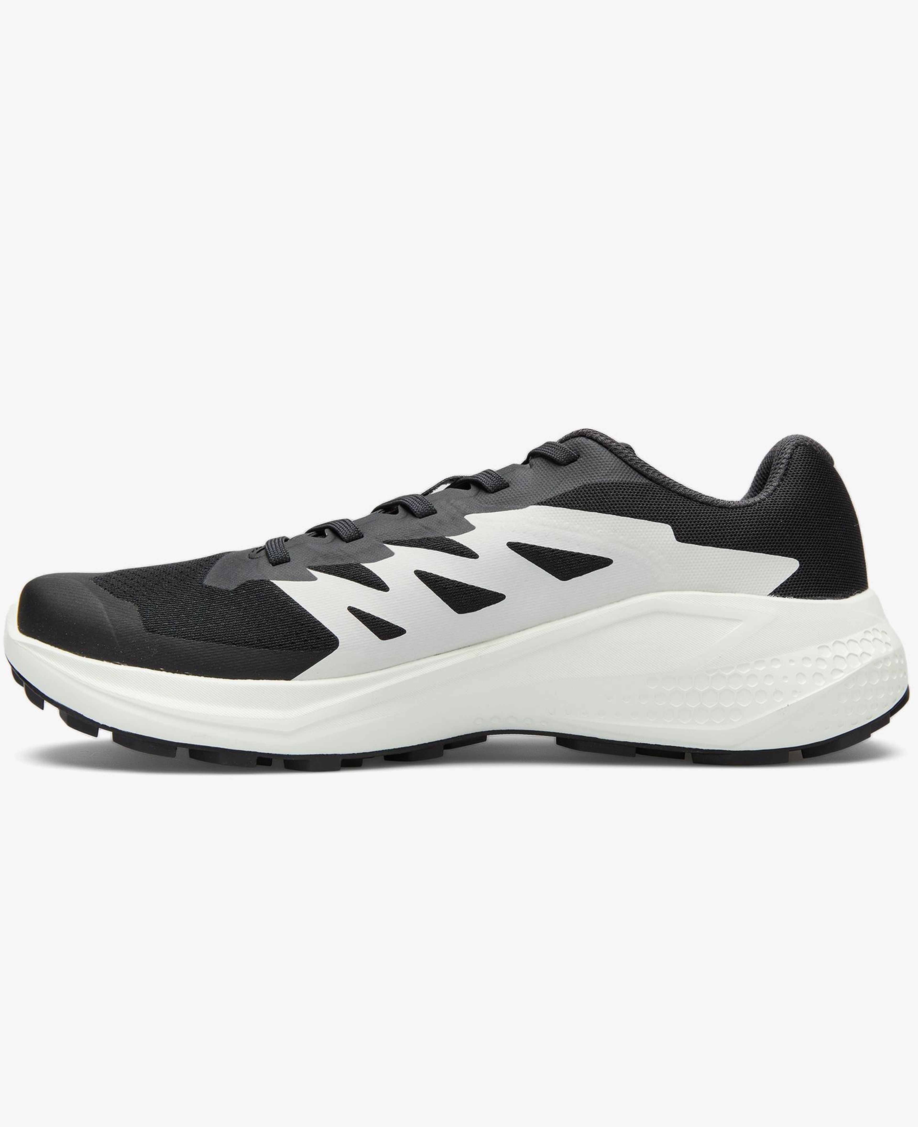 Salomon Alphaglide Erkek Siyah Koşu Ayakkabısı